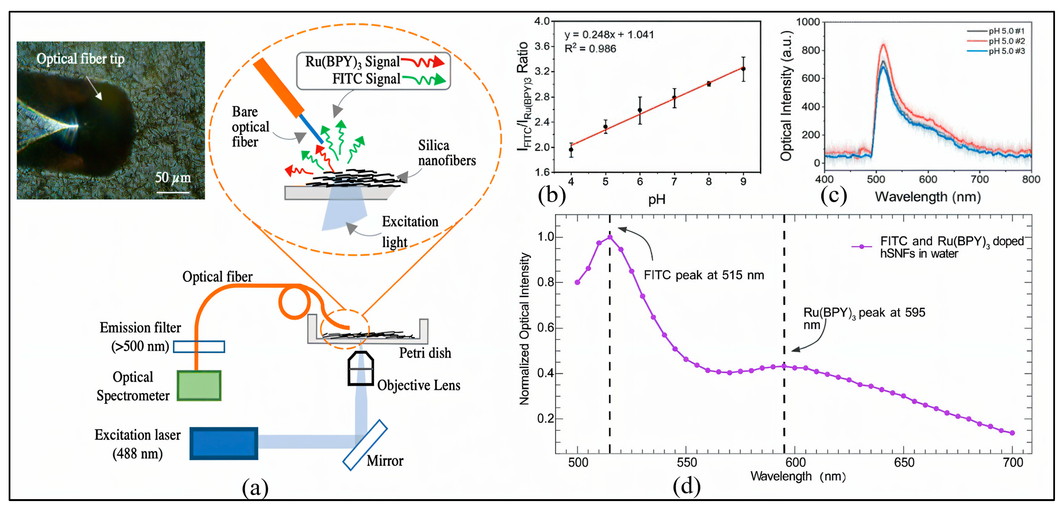 Sensors 25 04275 g001