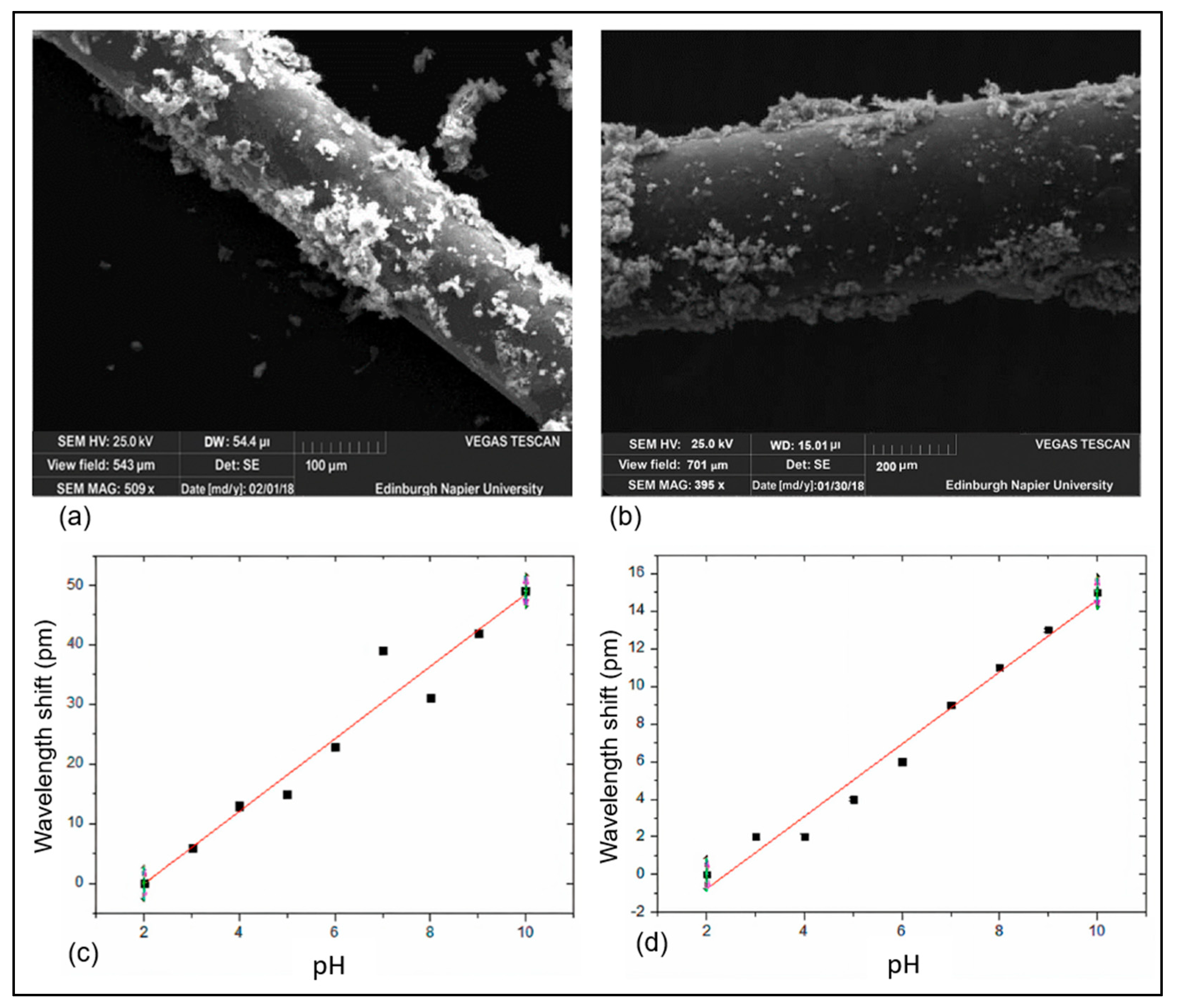 Sensors 25 04275 g006