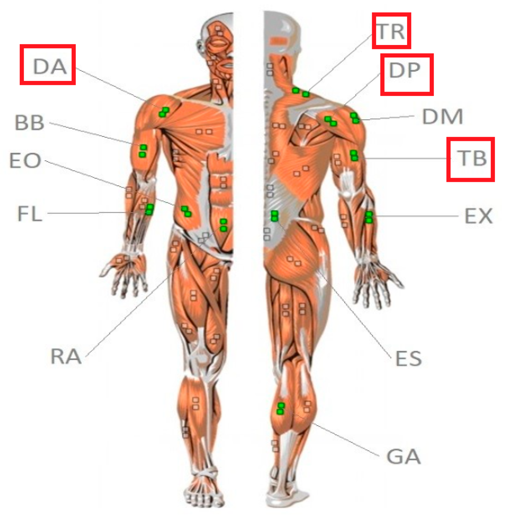 Sensors 25 04280 g003