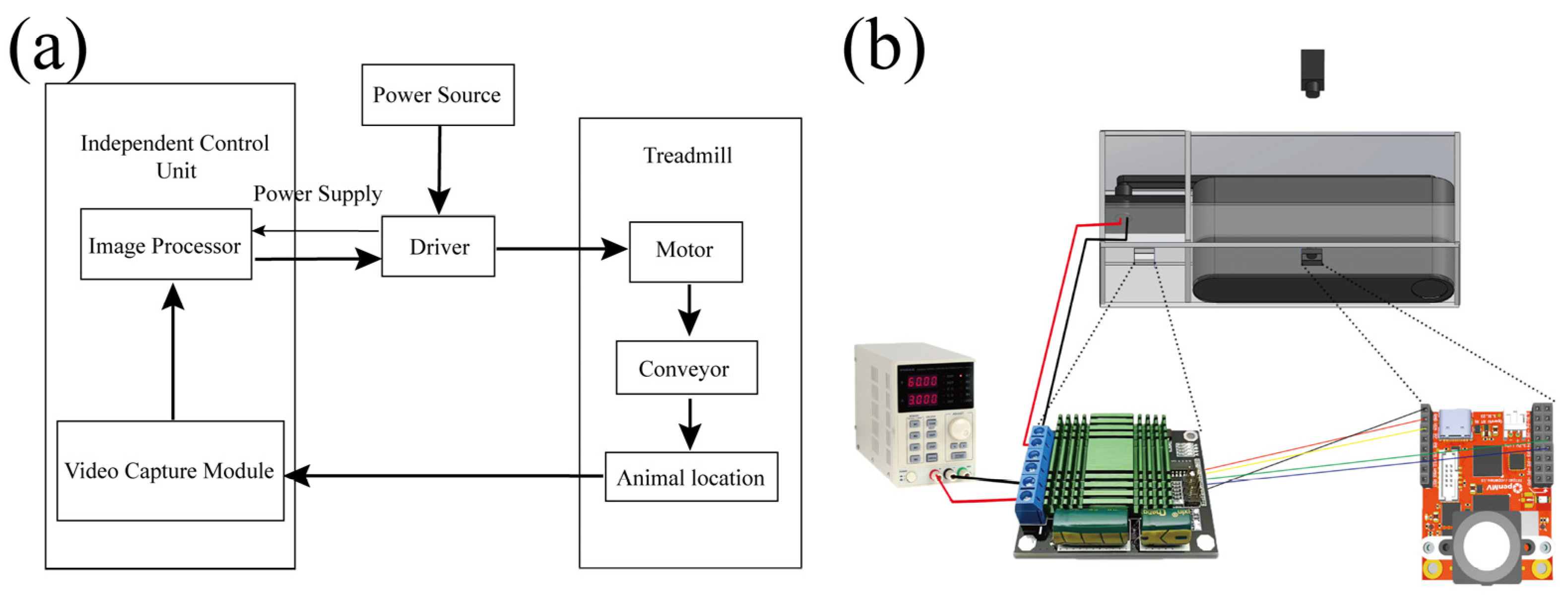 Sensors 25 04289 g001