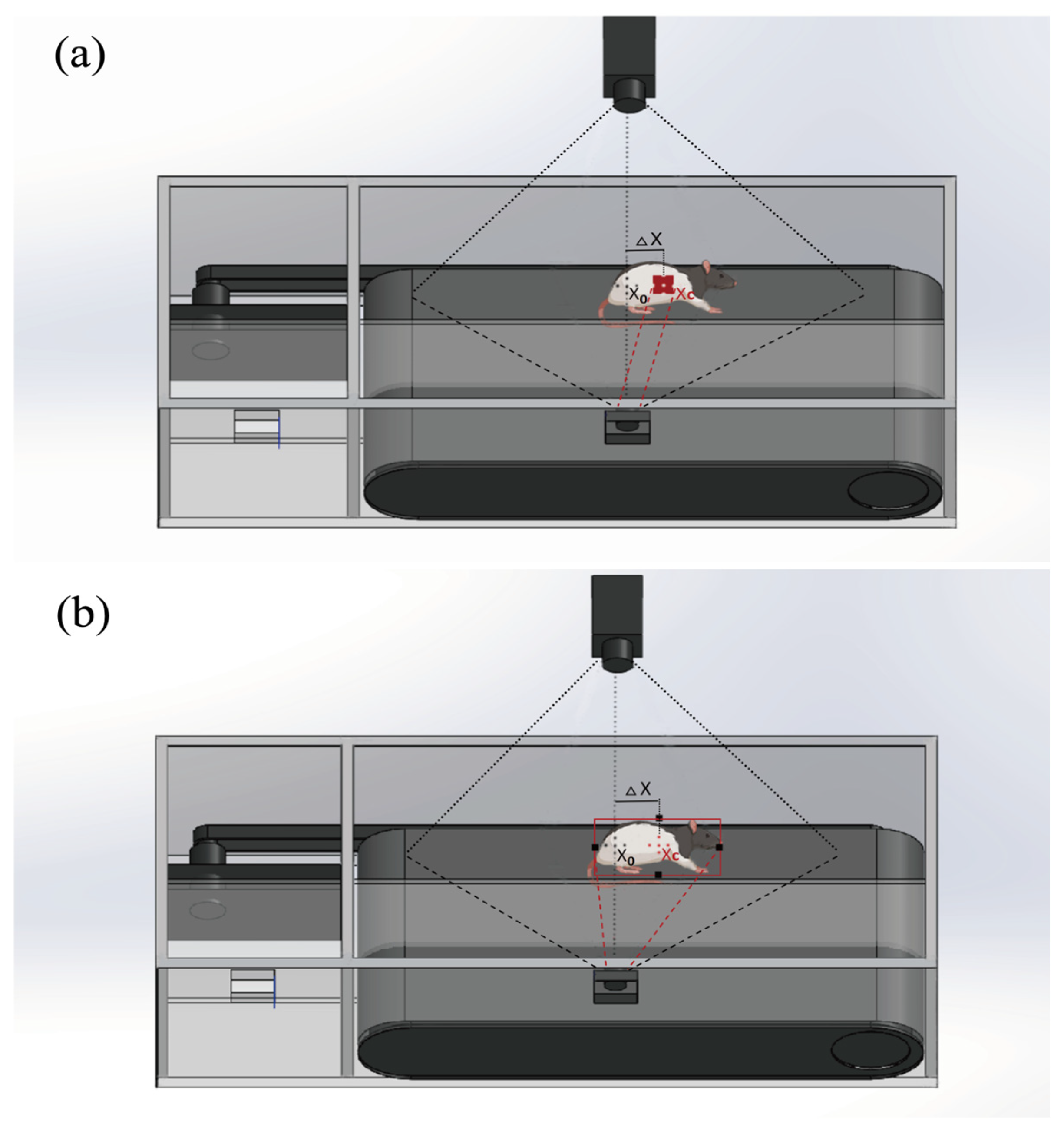 Sensors 25 04289 g002
