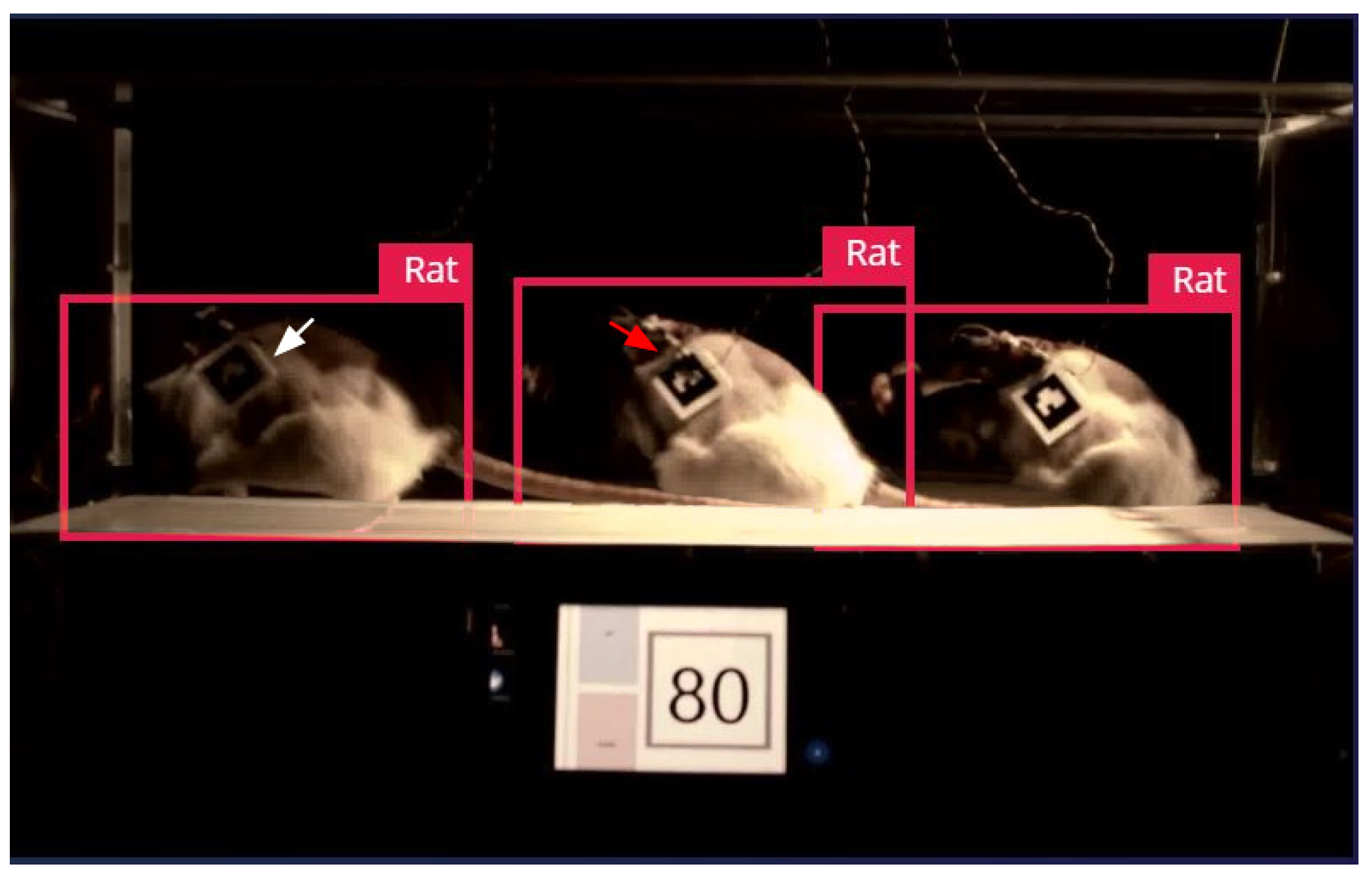 Sensors 25 04289 g008