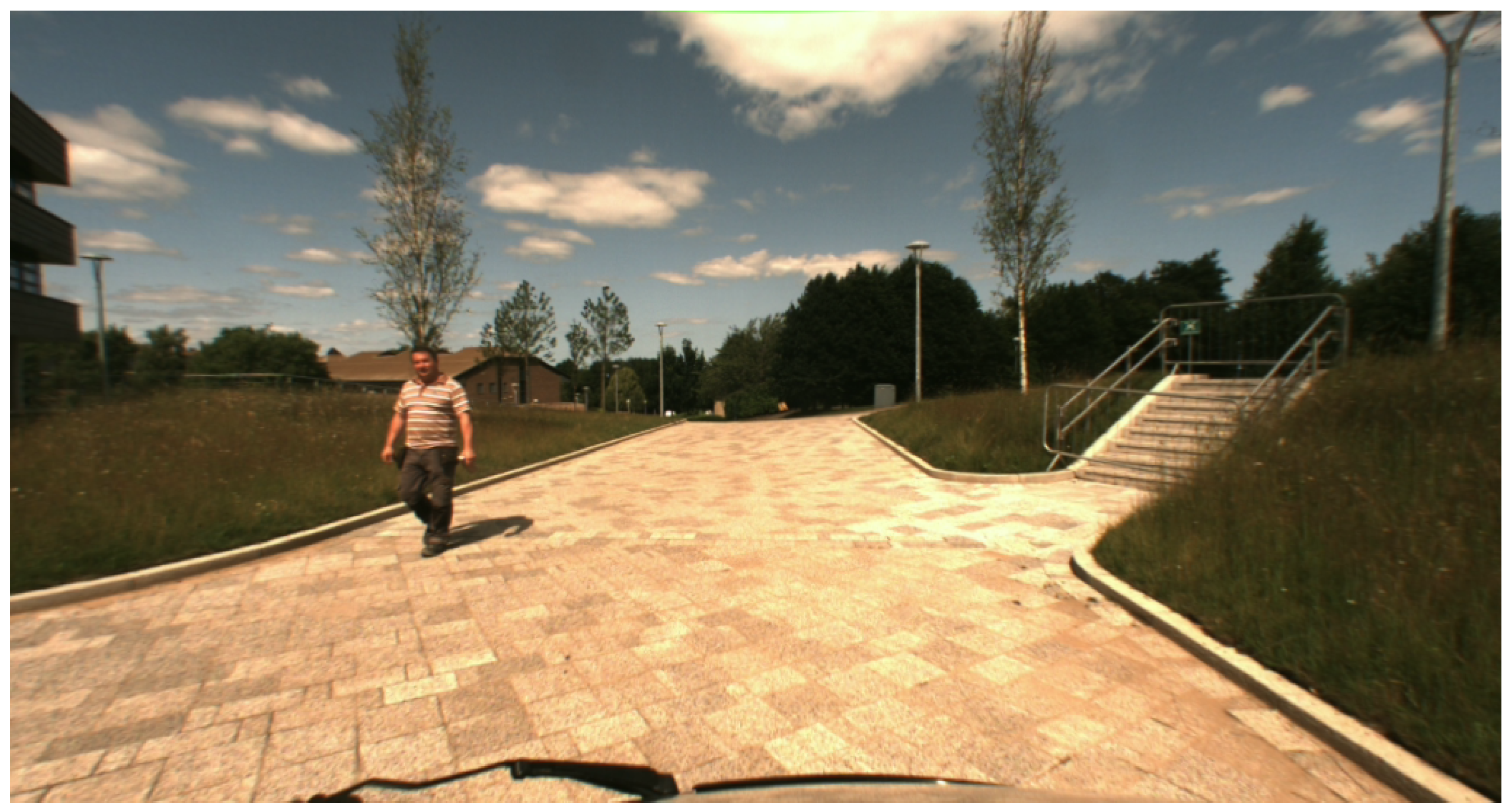 Sensors 25 04295 g007