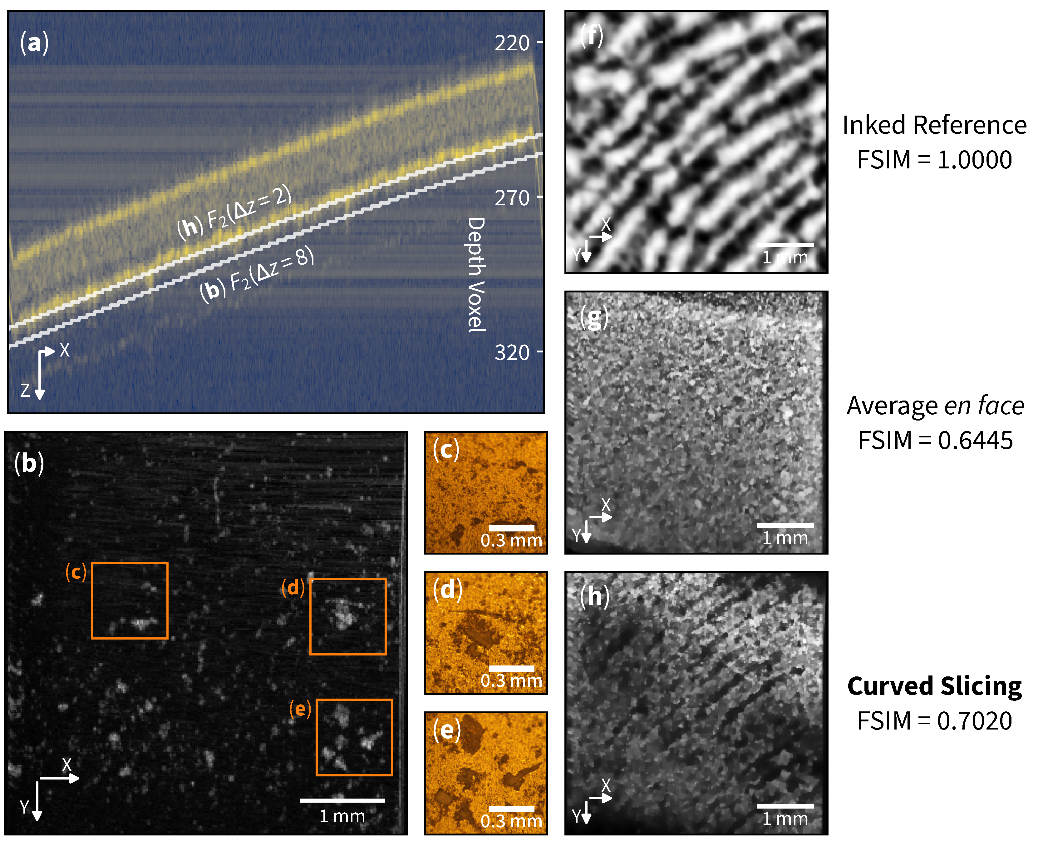 Sensors 25 04329 g003