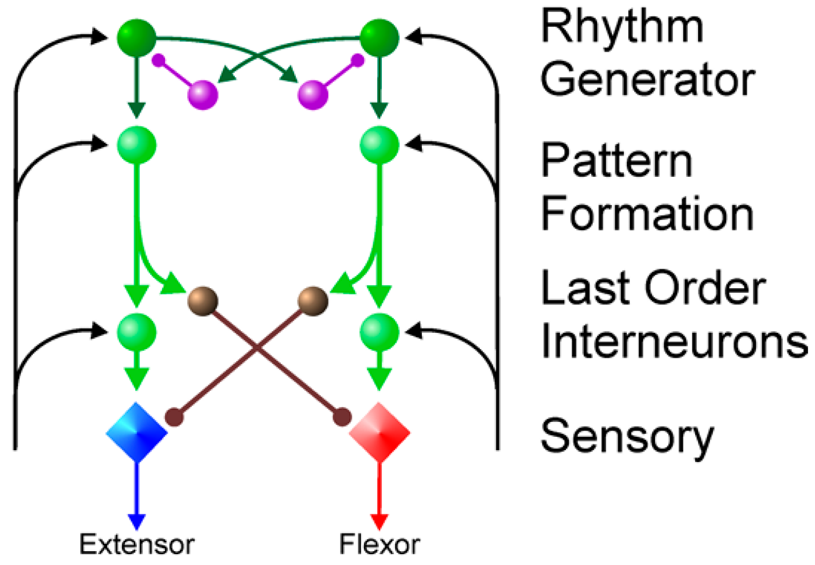 Sensors 25 04331 g007 Sensors 25 04331 g007