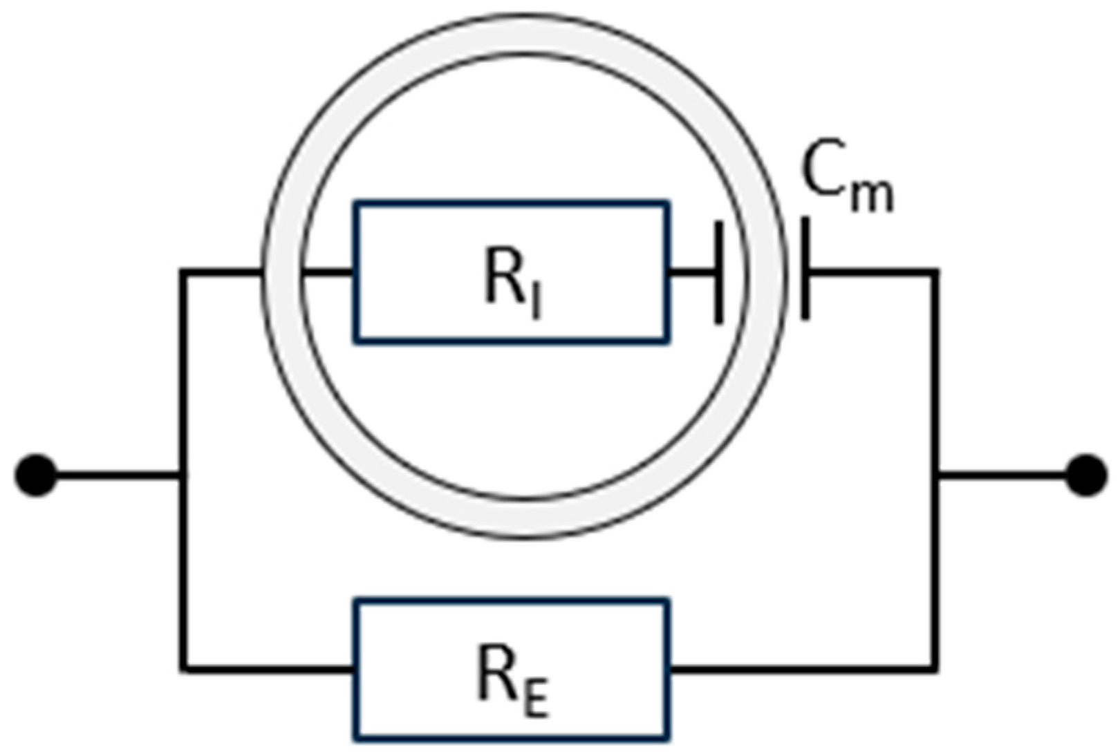 Sensors 25 04362 g001