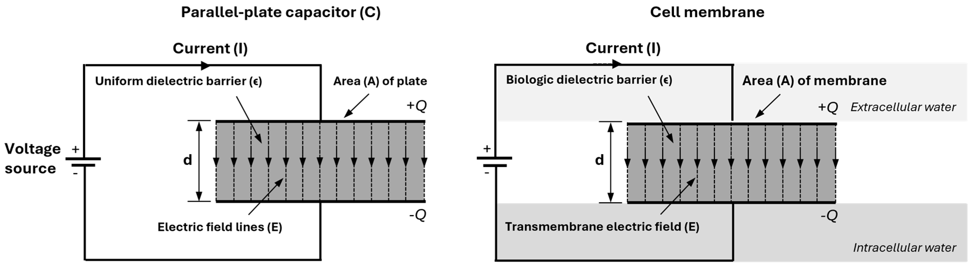 Sensors 25 04362 g003