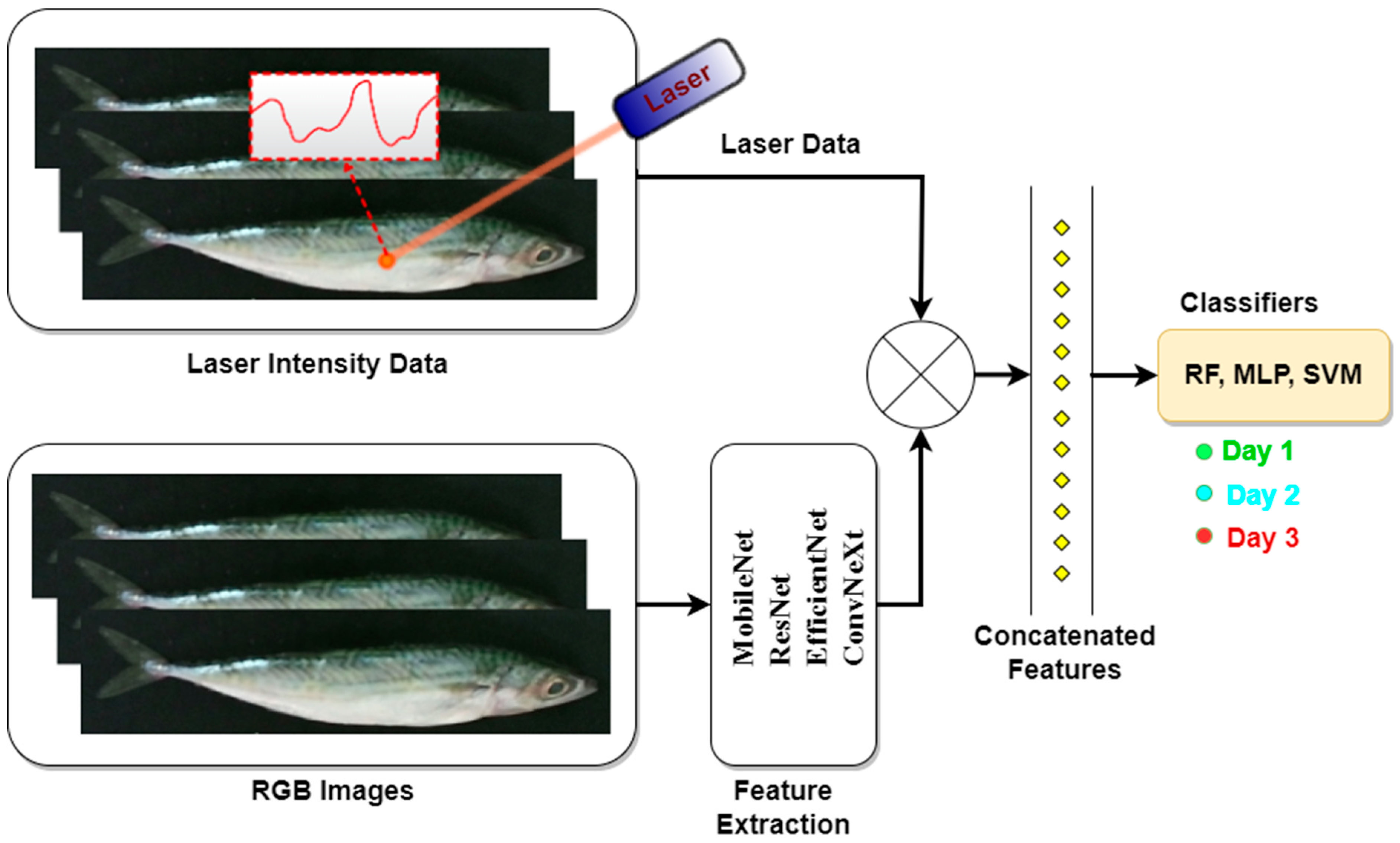 Sensors 25 04374 g001