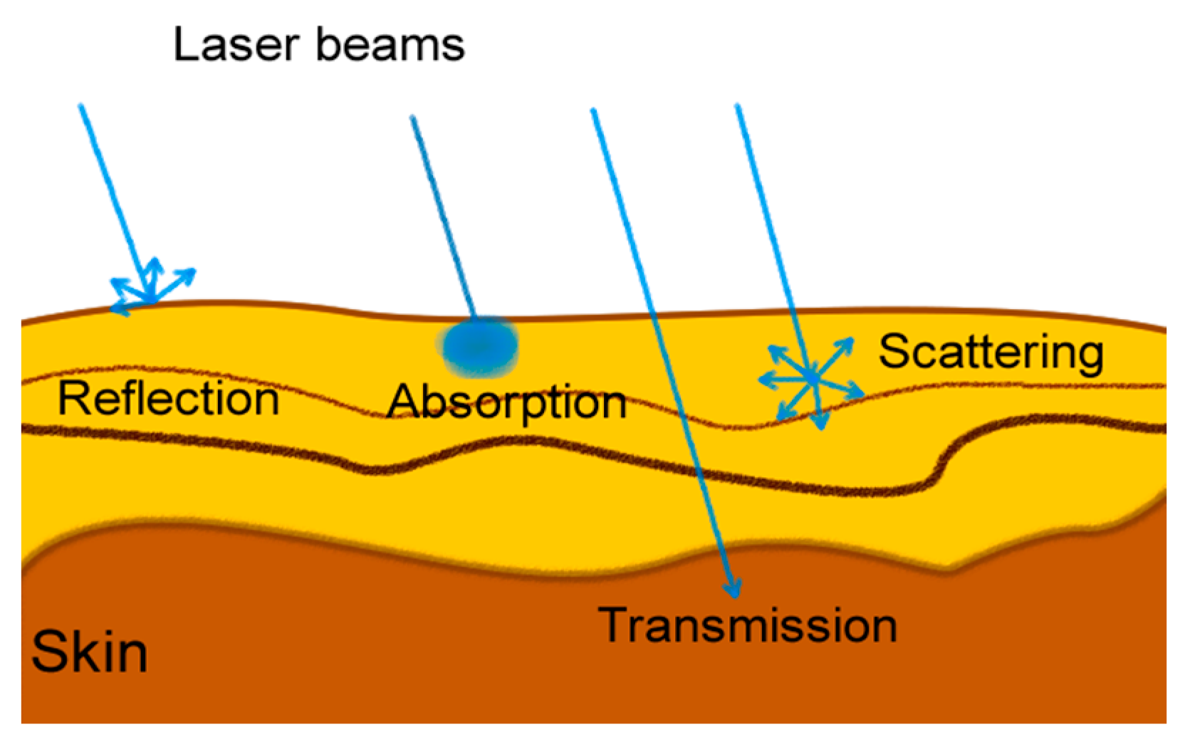 Sensors 25 04374 g002