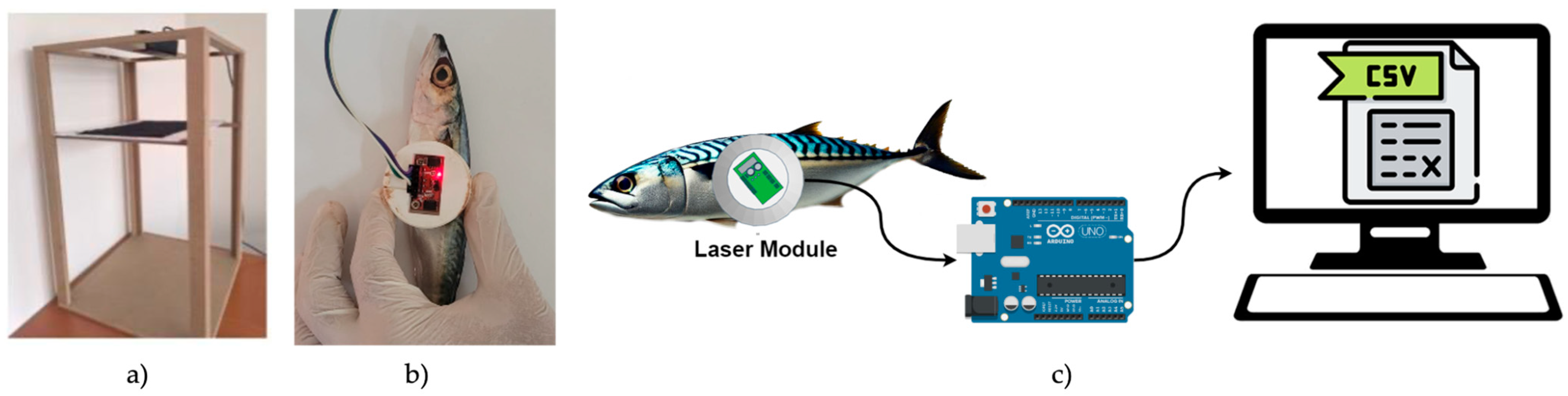 Sensors 25 04374 g003