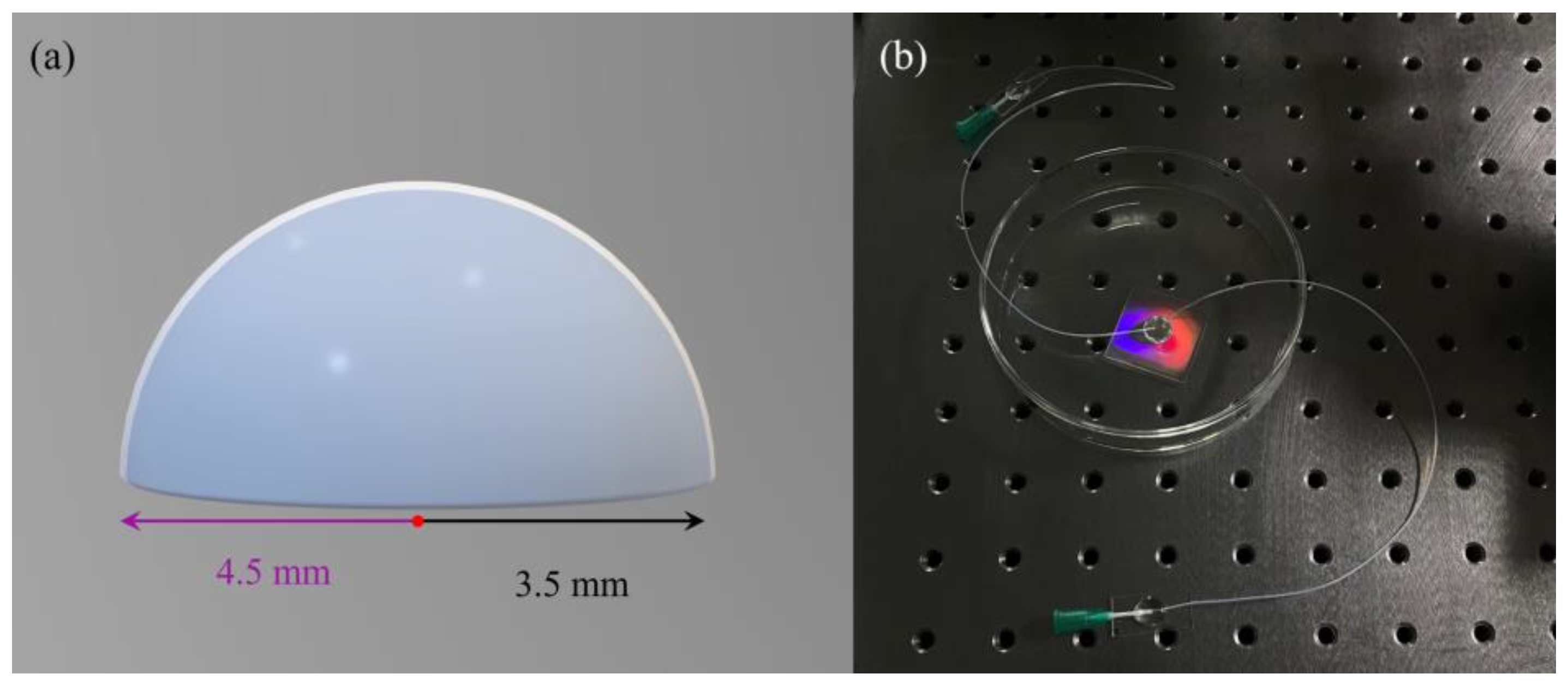 Sensors 25 04386 g006