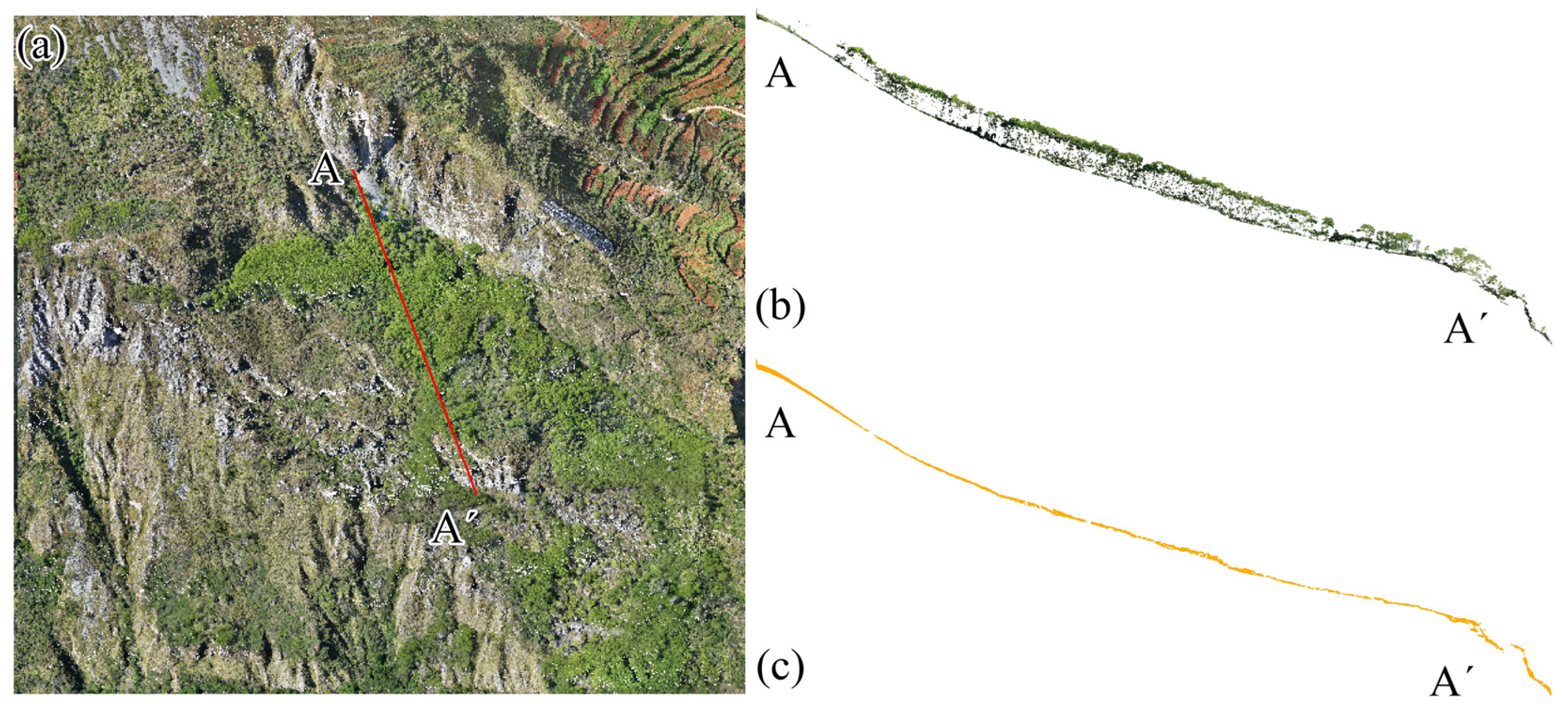 Sensors 25 04391 g003