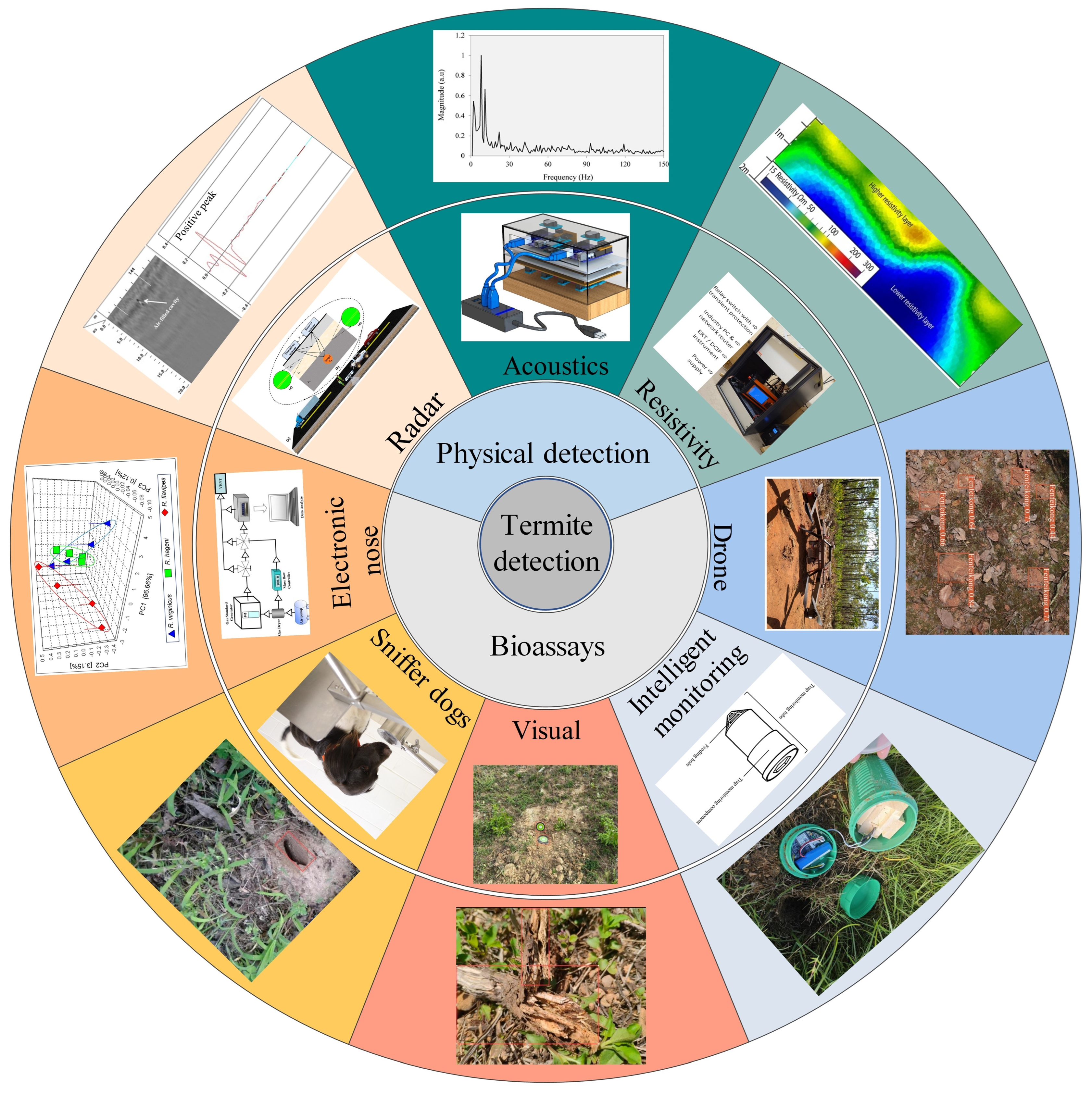 Sensors 25 04404 g002