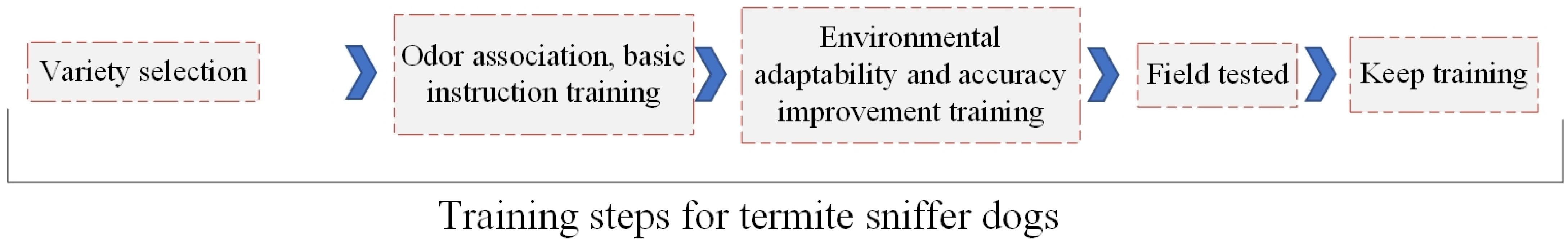Sensors 25 04404 g007