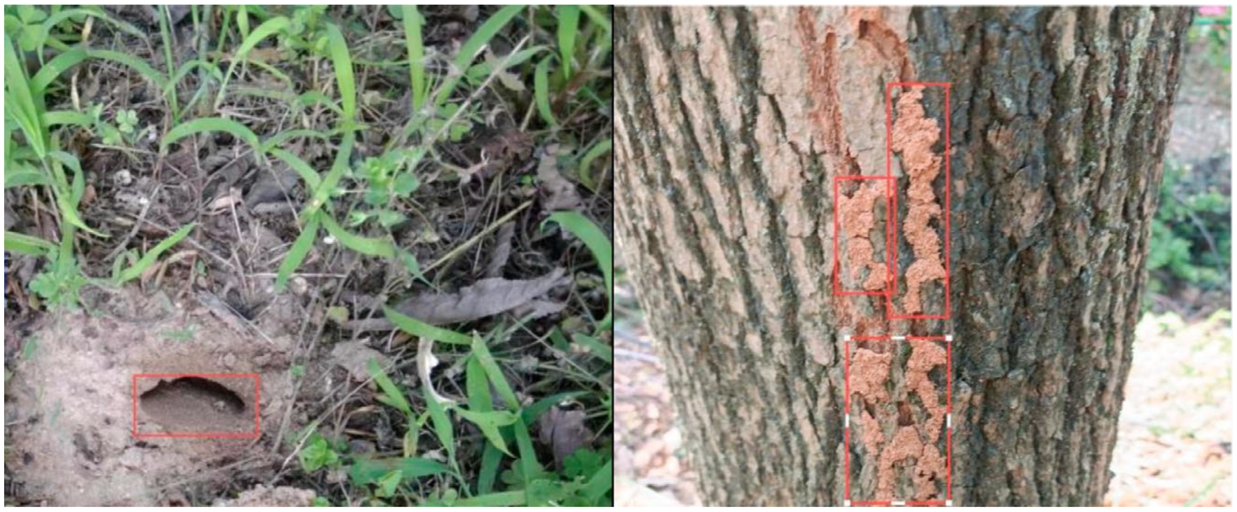 Sensors 25 04404 g008