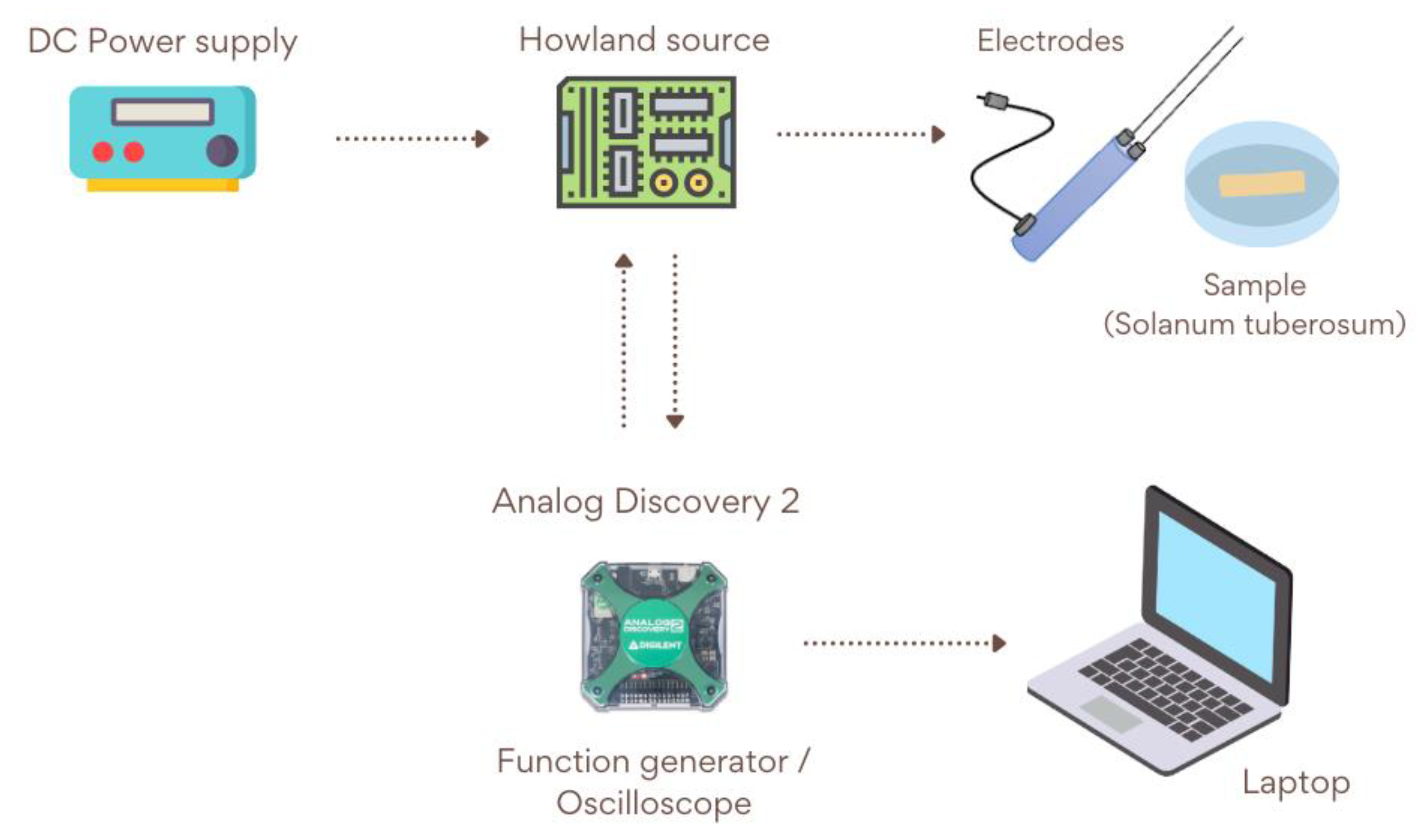 Sensors 25 04413 g004