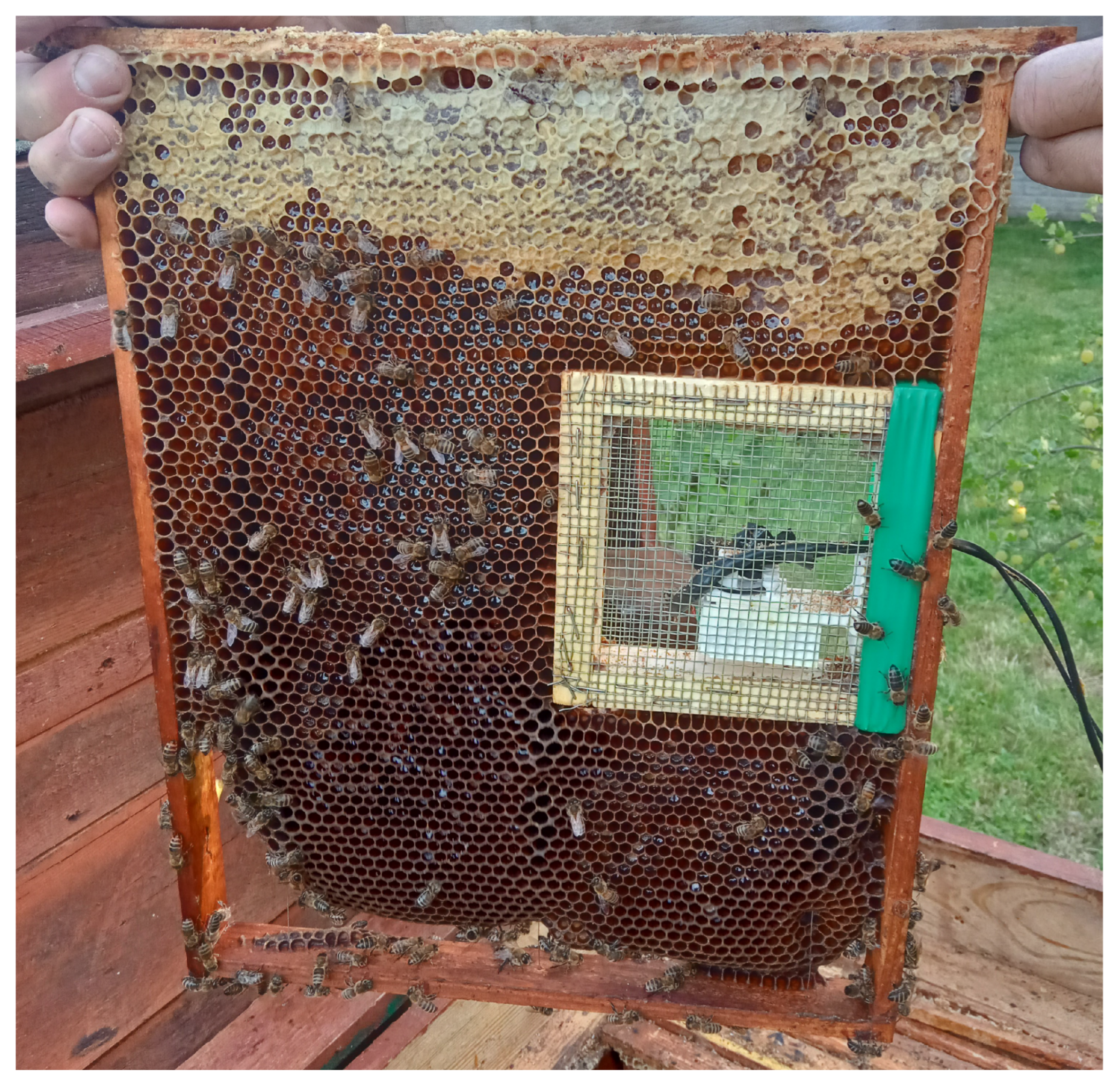 Sensors 25 04424 g002