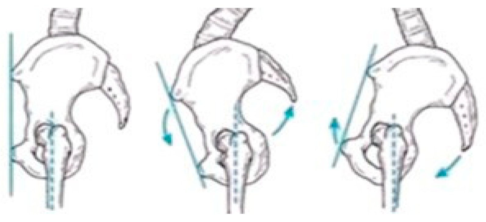 Sensors 25 04435 g003