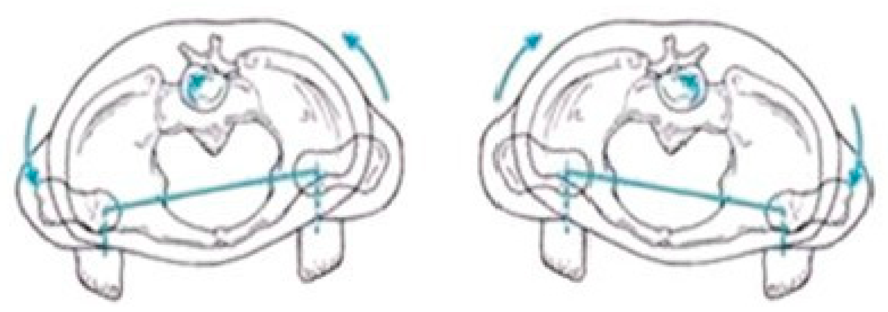 Sensors 25 04435 g005