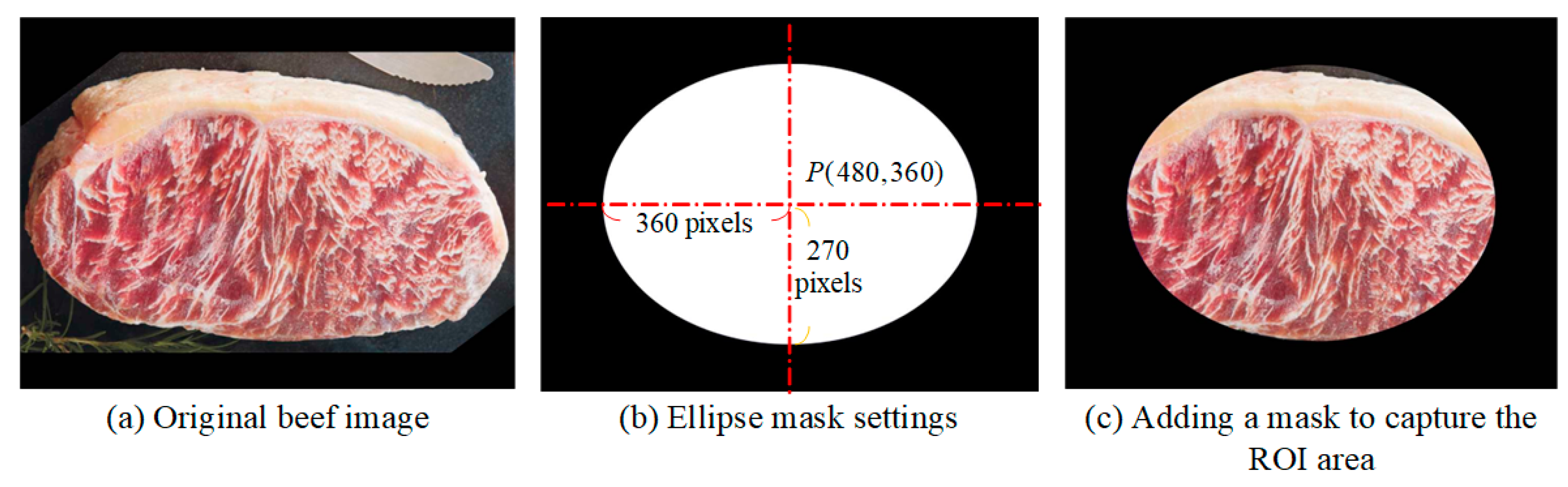 Sensors 25 04440 g002