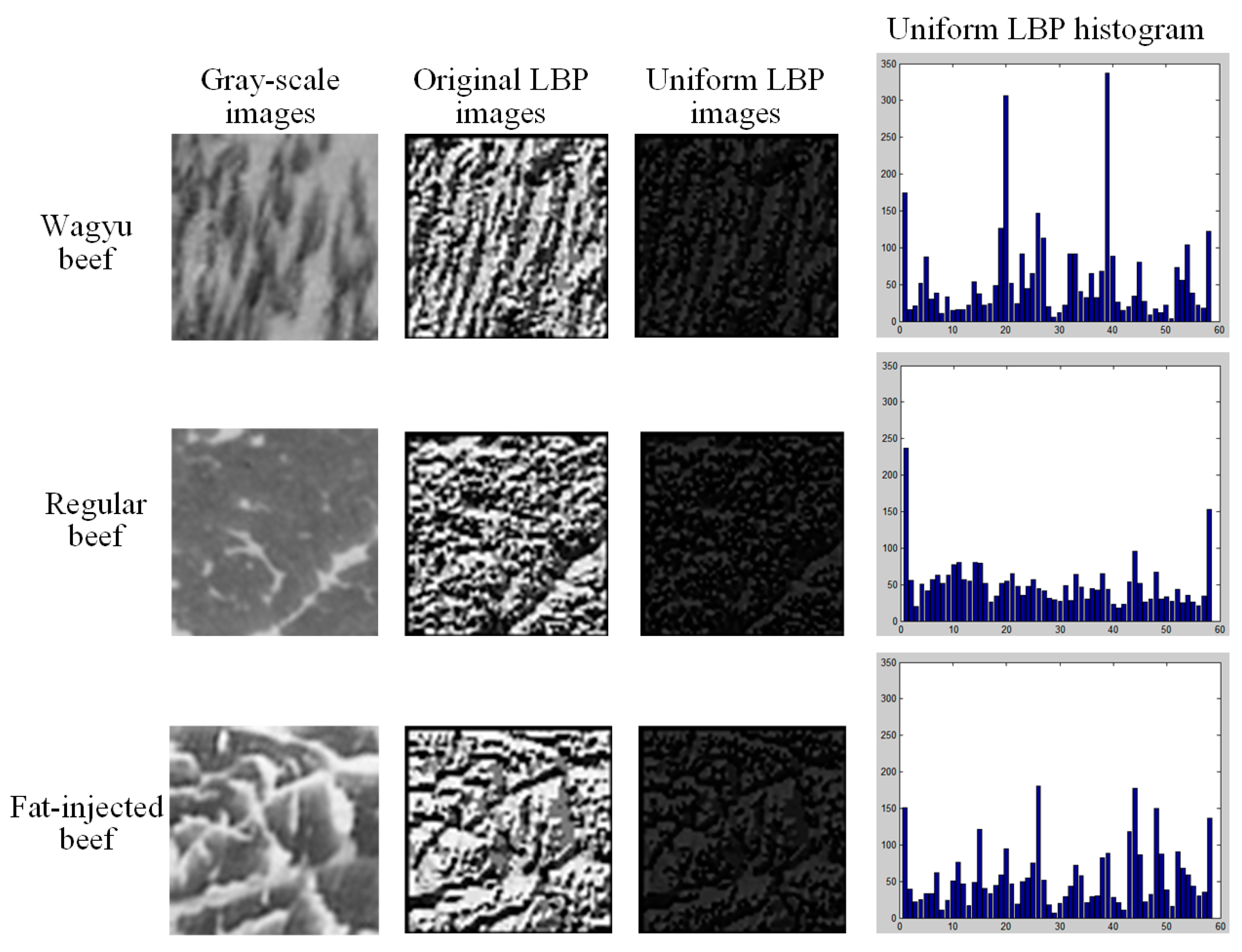 Sensors 25 04440 g009