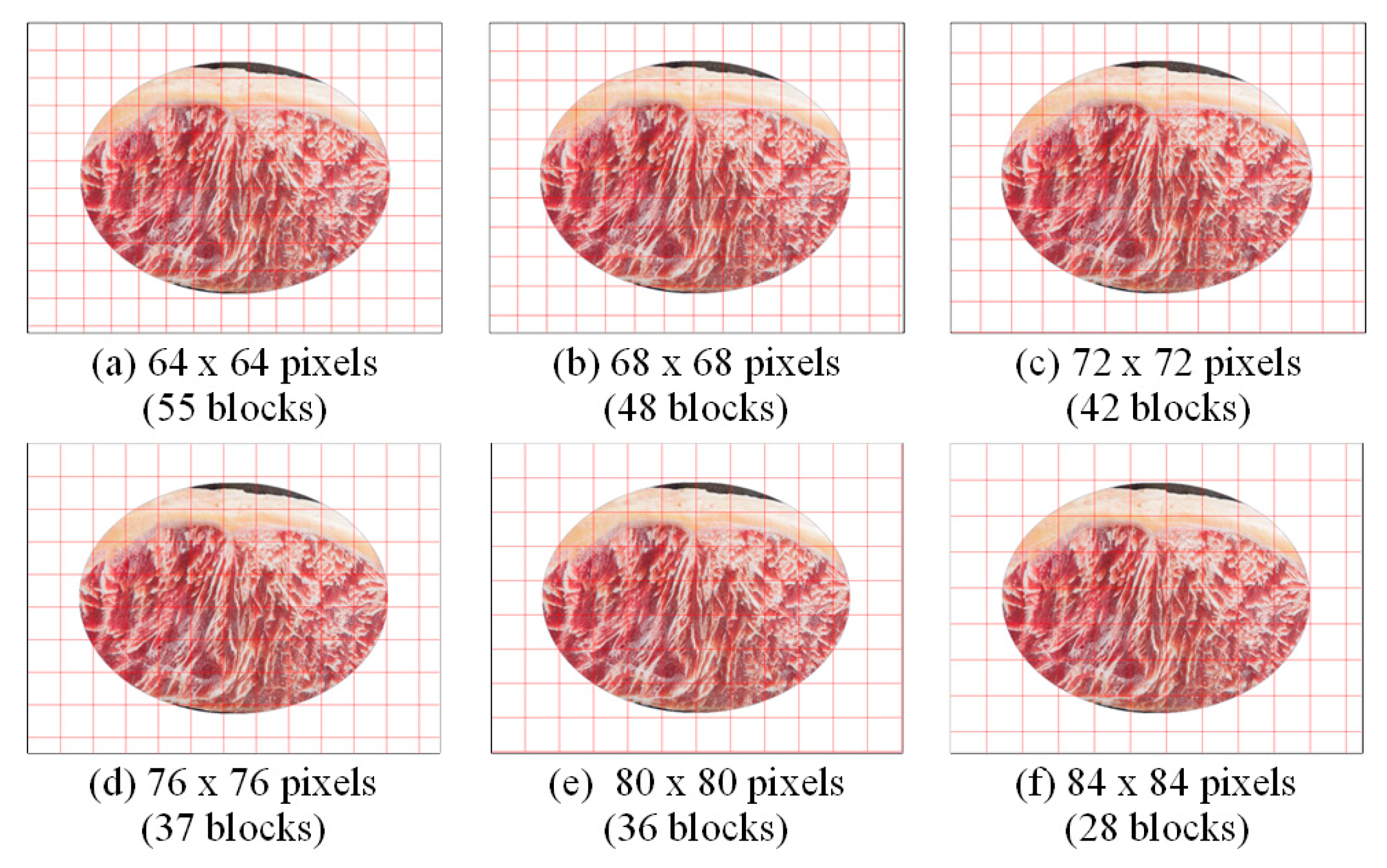 Sensors 25 04440 g014