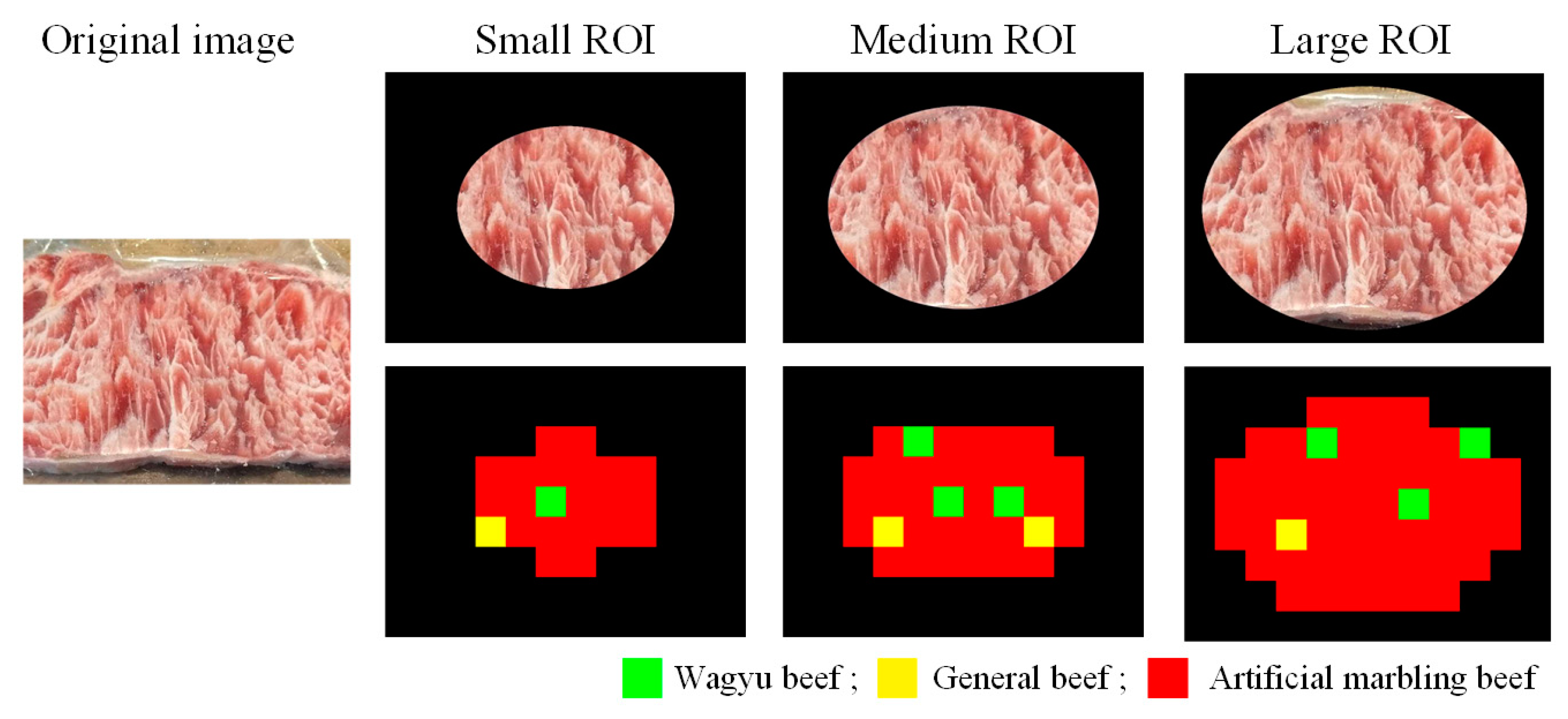 Sensors 25 04440 g019