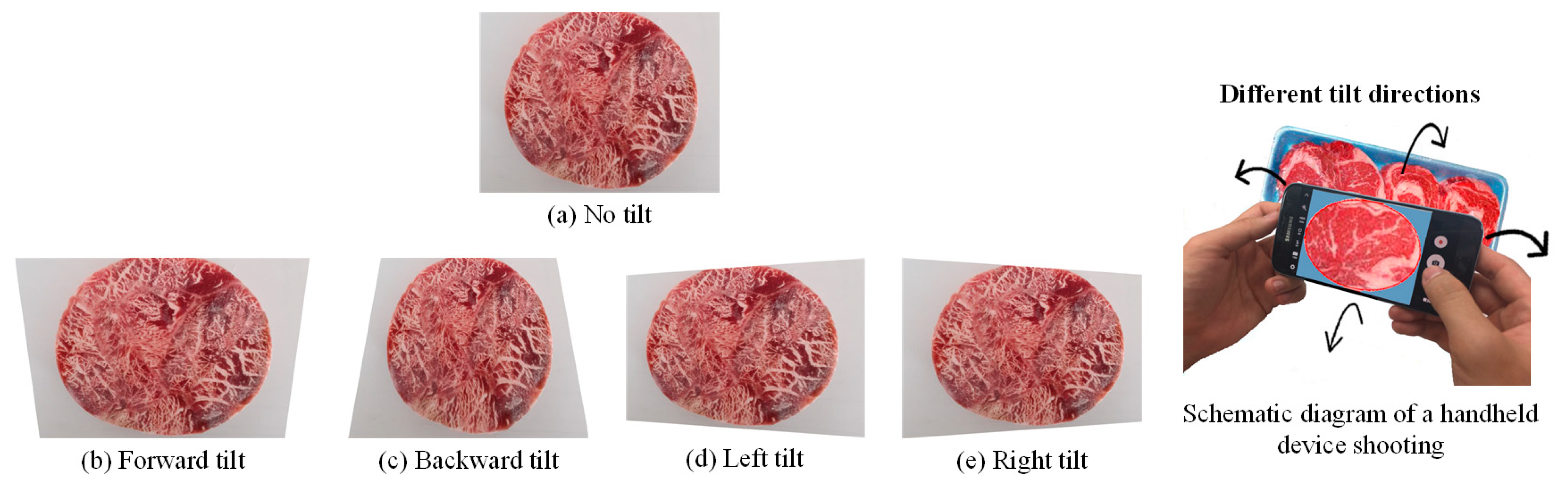 Sensors 25 04440 g025