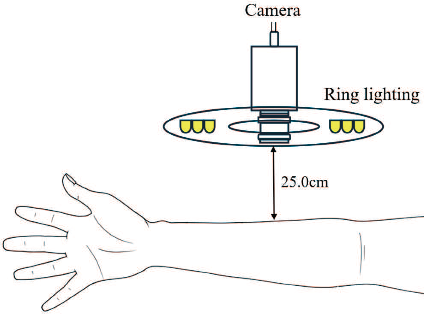 Sensors 25 04441 g005
