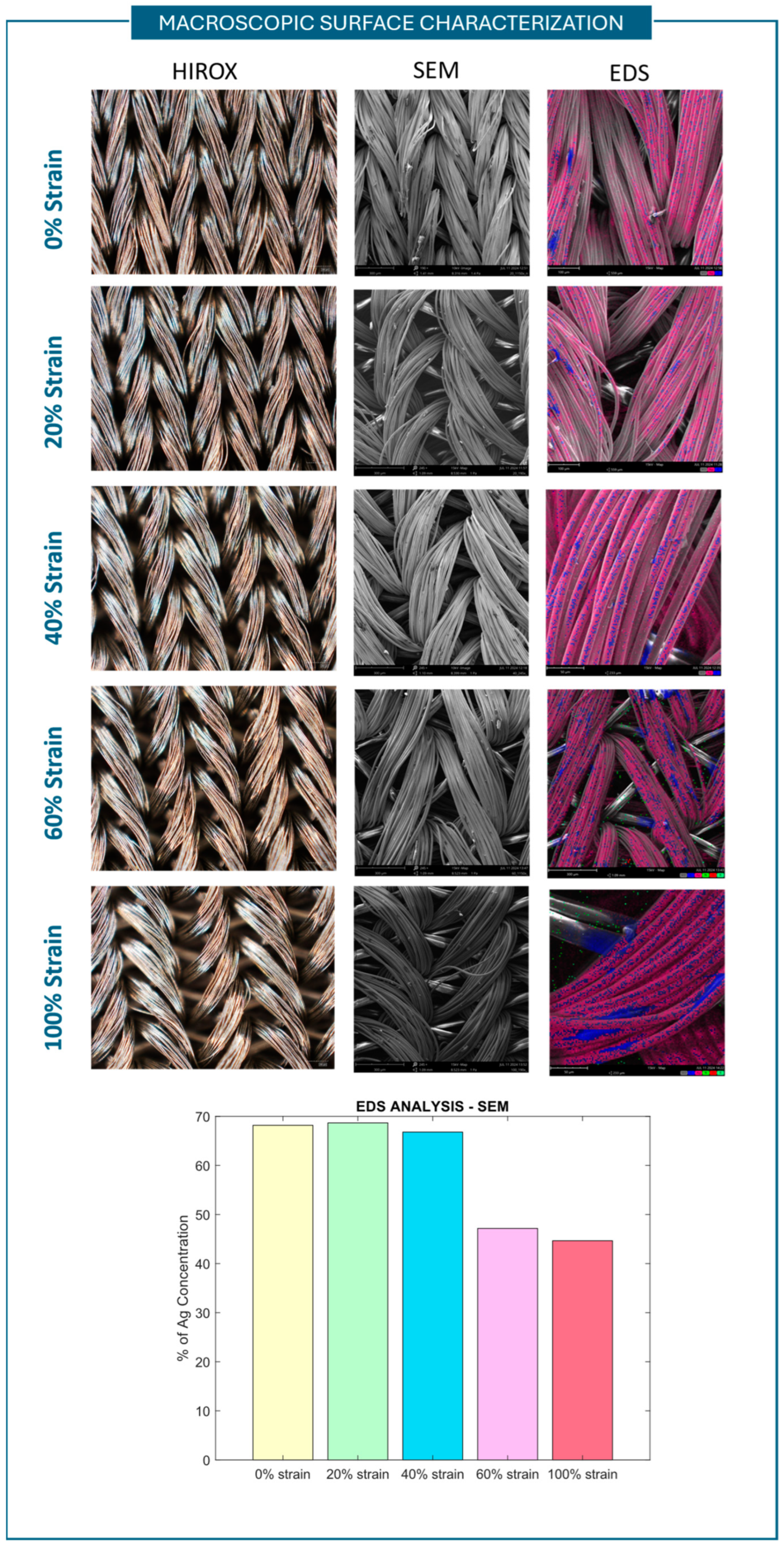 Sensors 25 04448 g008