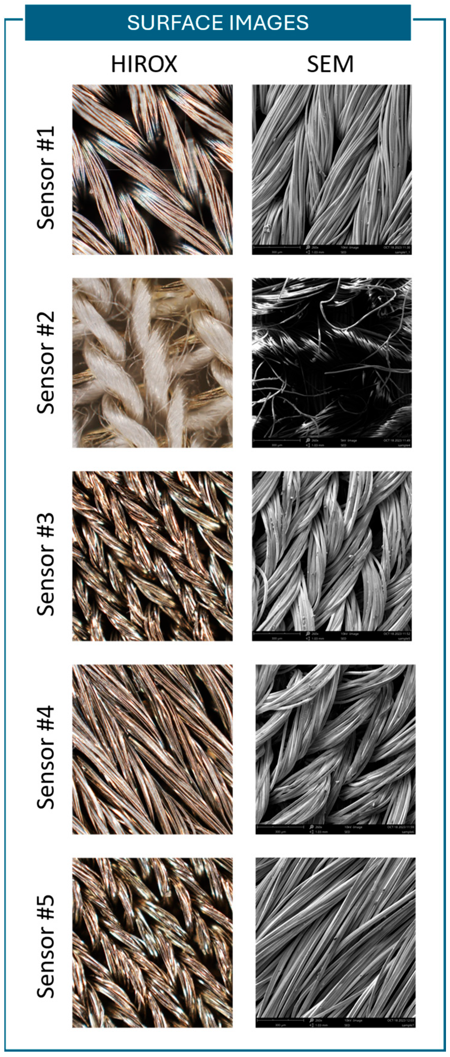 Sensors 25 04448 g0a1