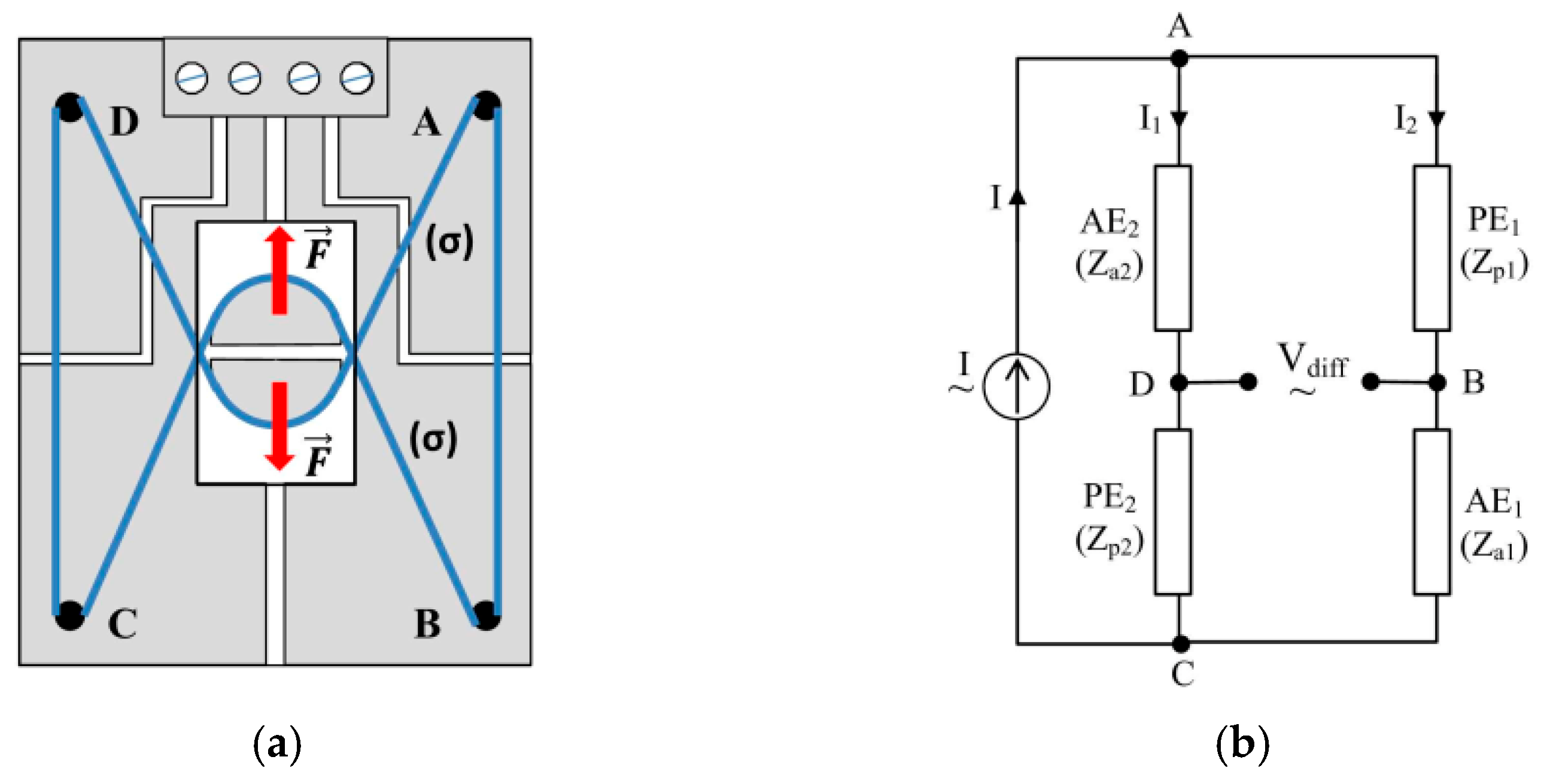 Sensors 25 04449 g006