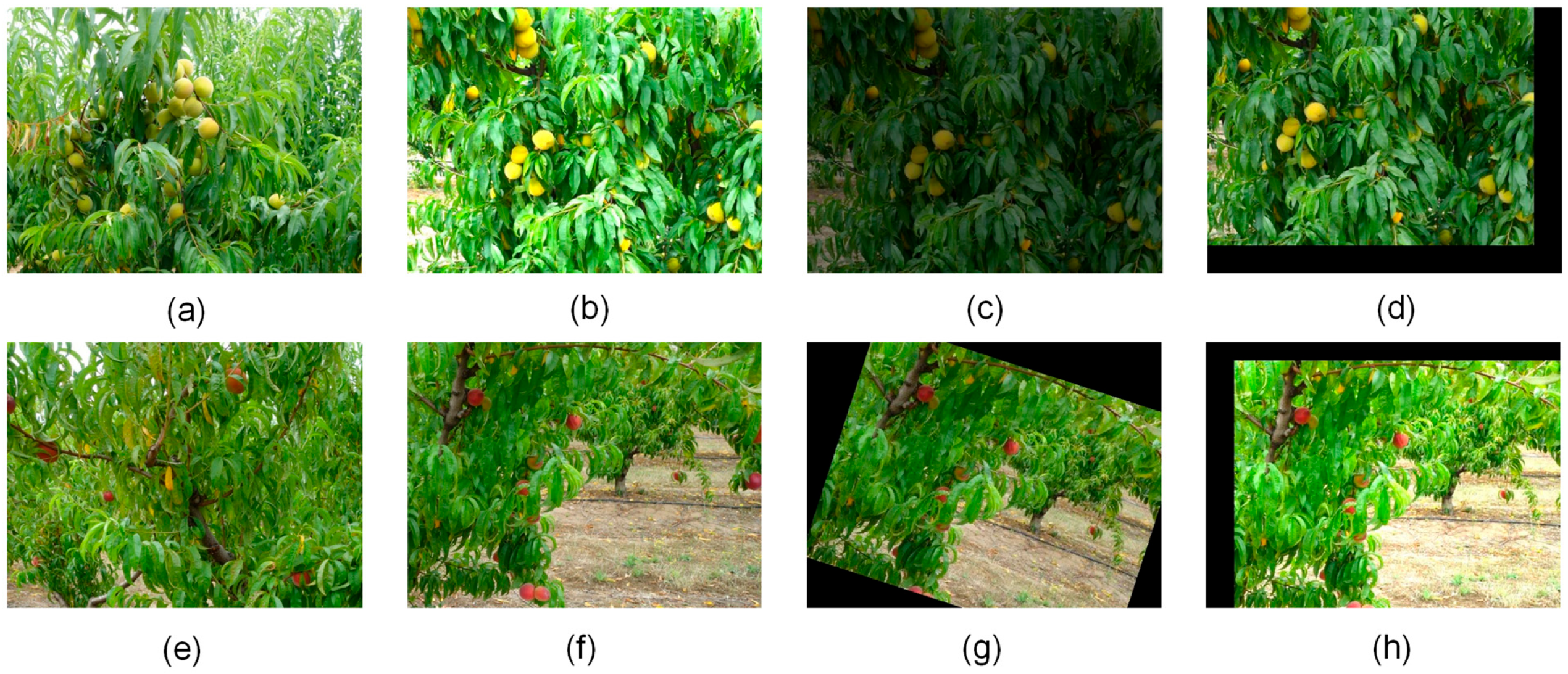 Sensors 25 04457 g001