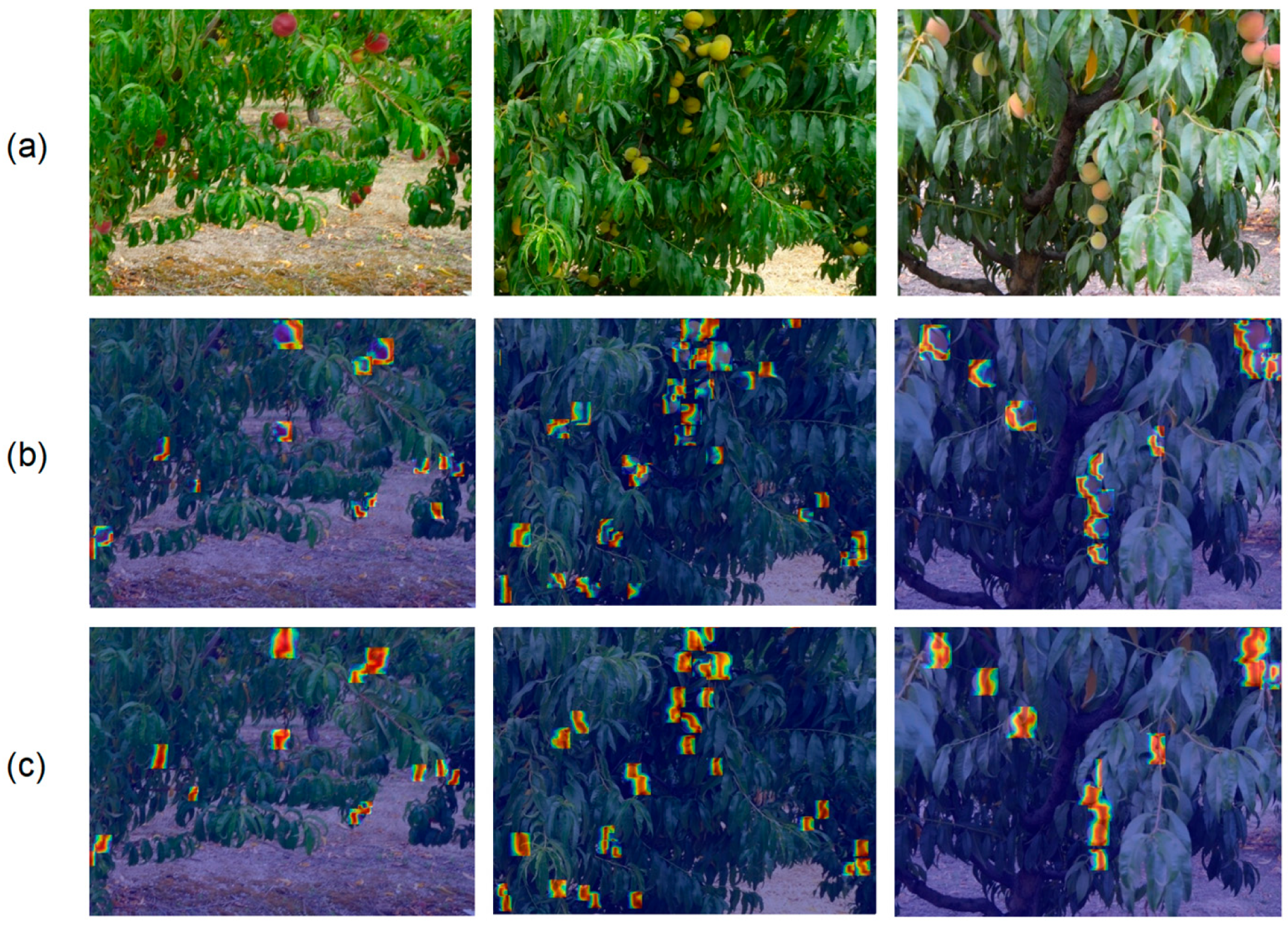 Sensors 25 04457 g011