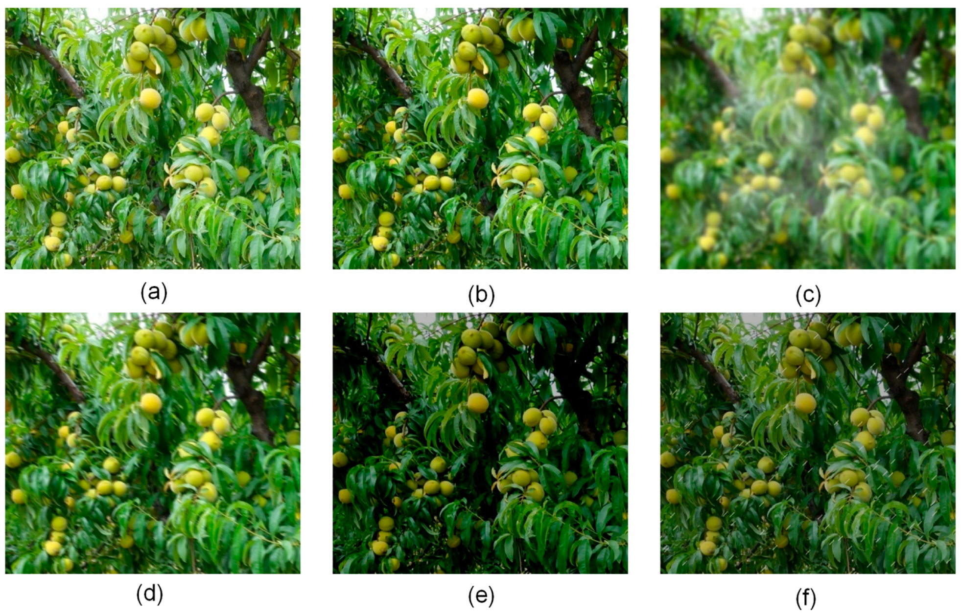 Sensors 25 04457 g012