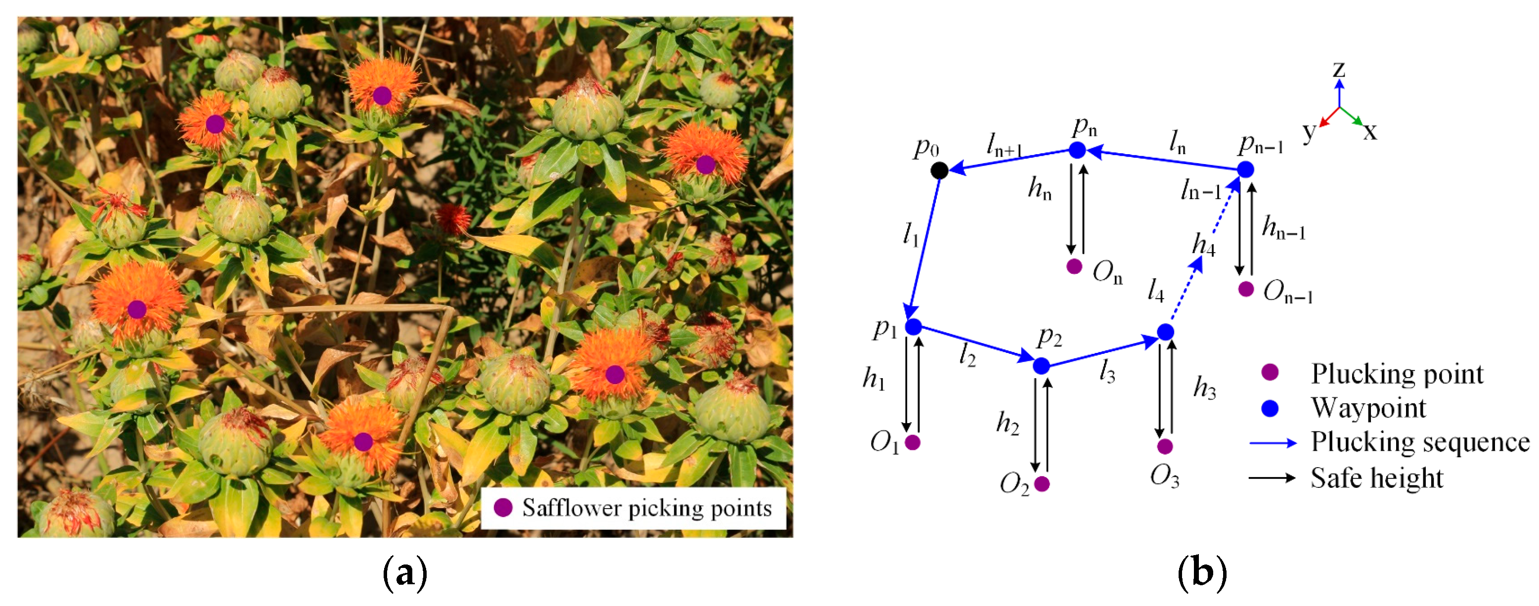 Sensors 25 04459 g007