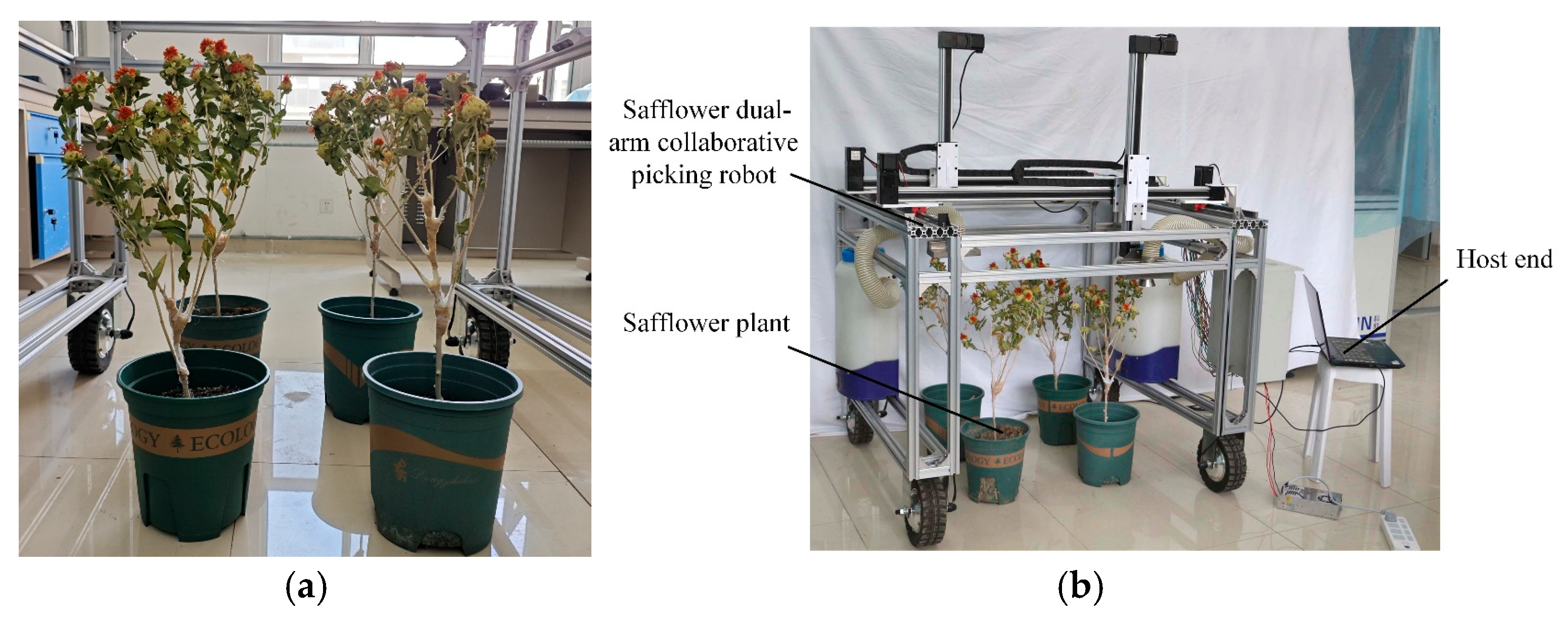 Sensors 25 04459 g018