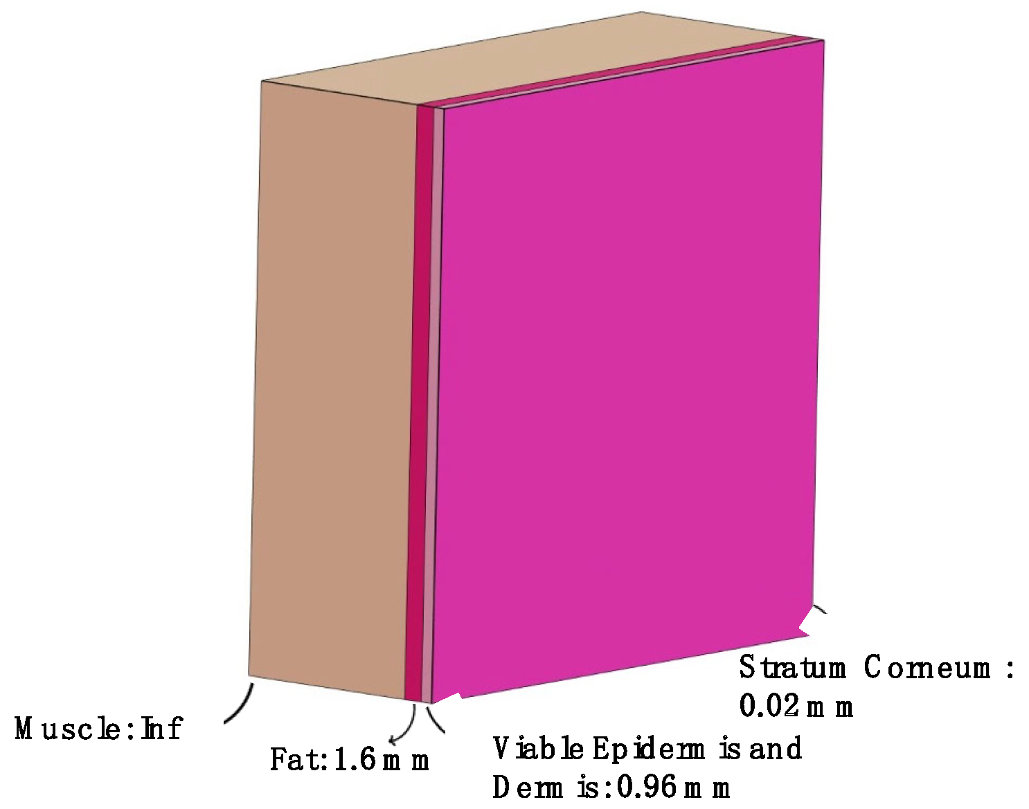 Sensors 25 04461 g002