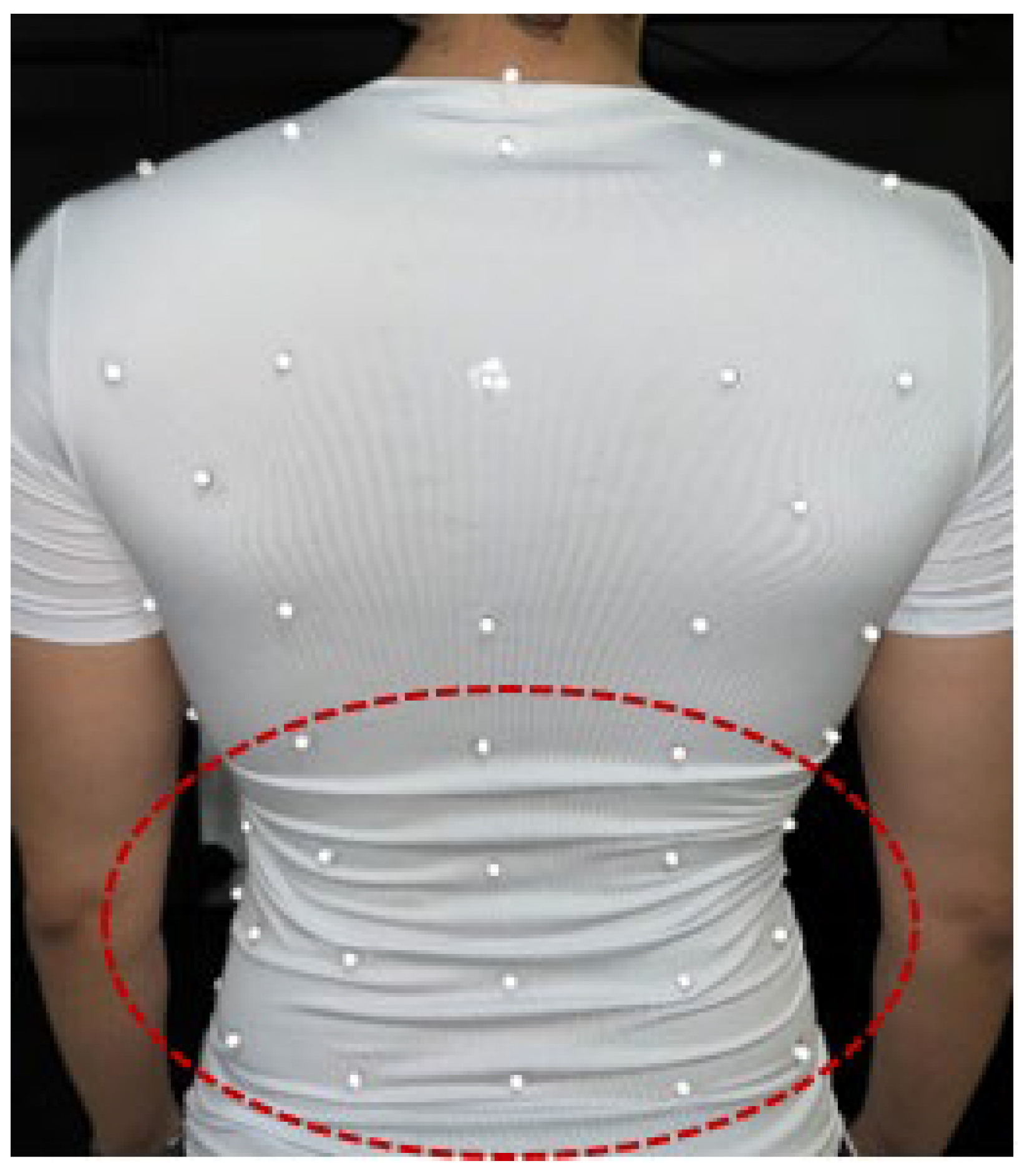 Sensors 25 04464 g005