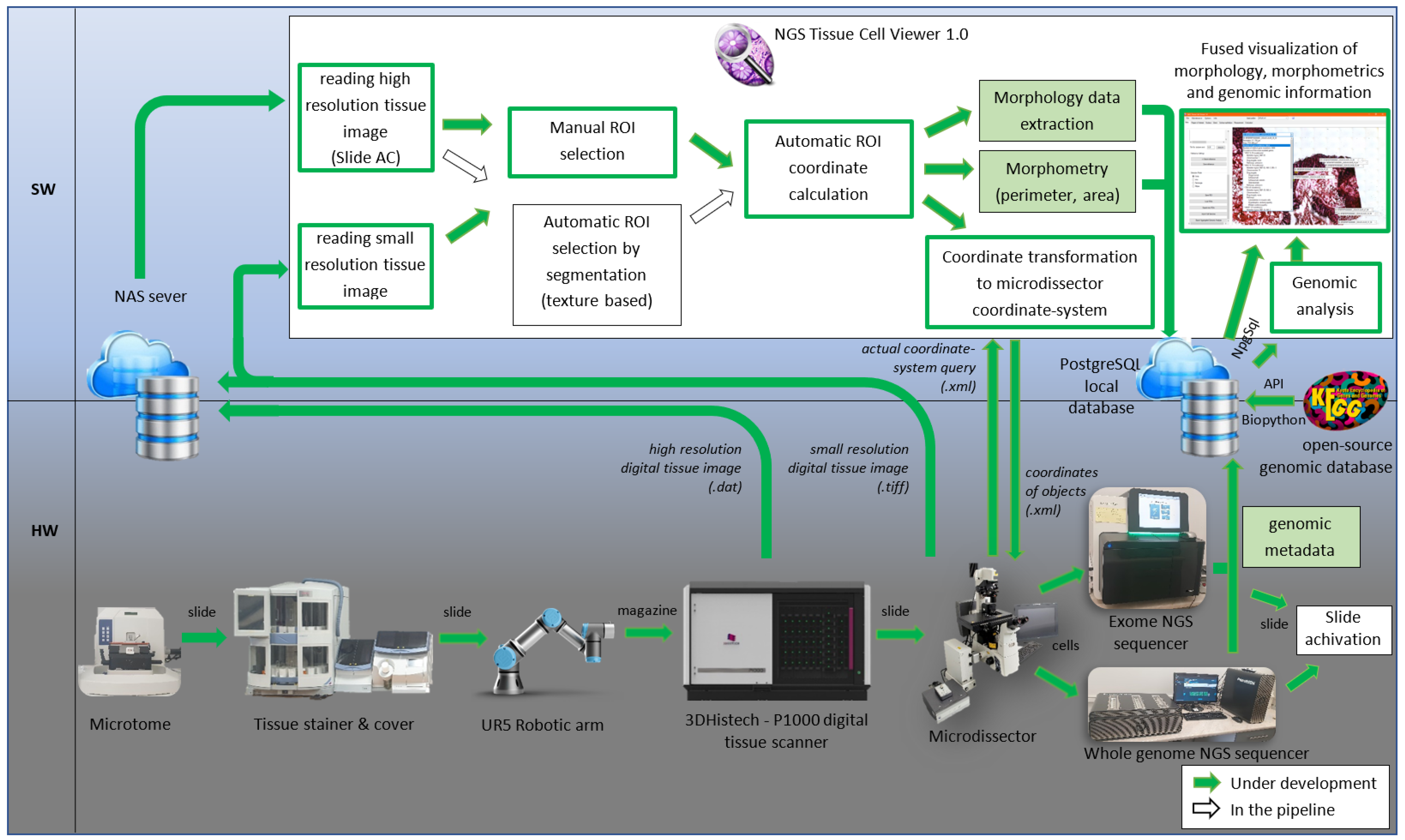 Sensors 25 04465 g001