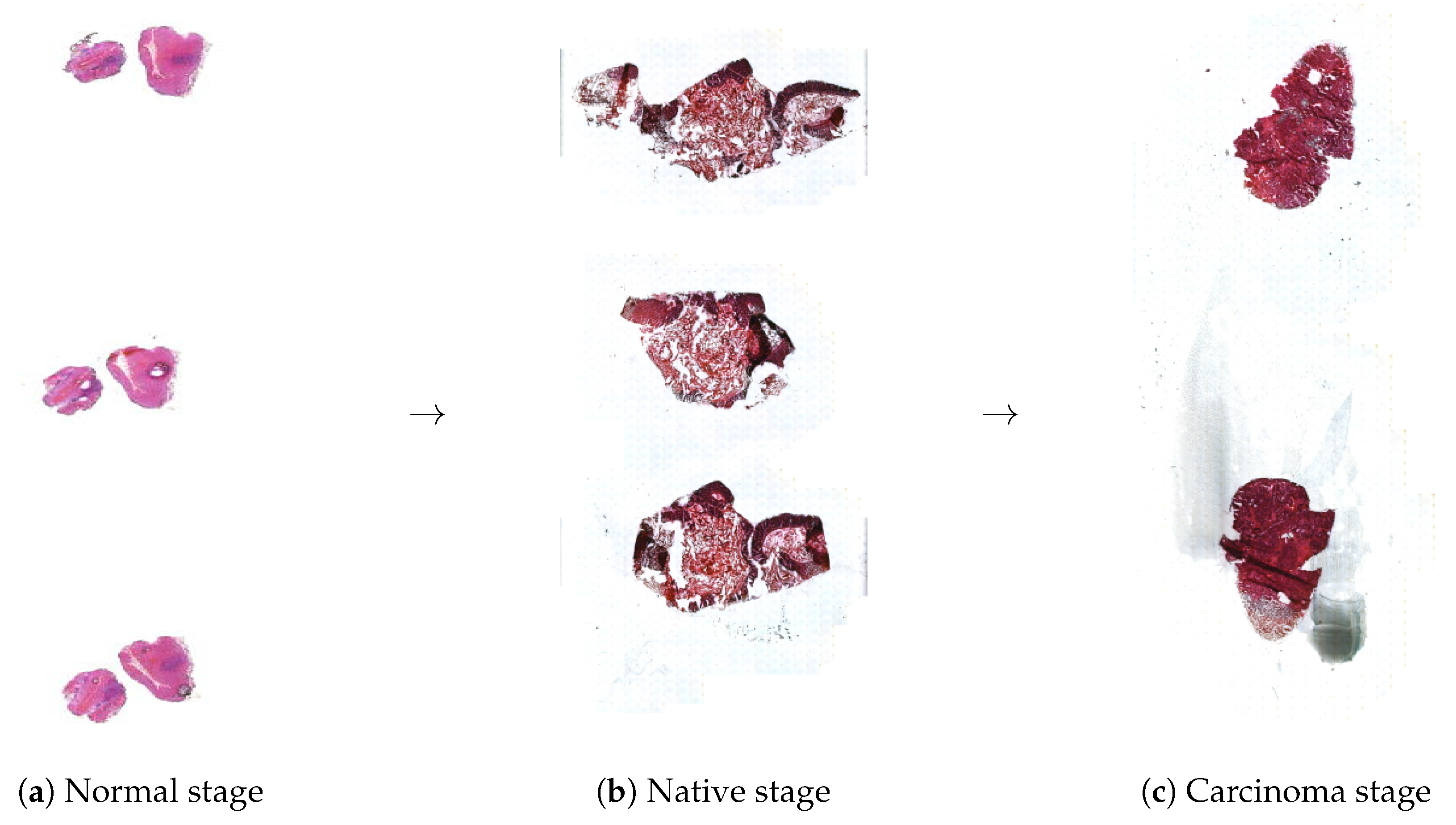 Sensors 25 04465 g003