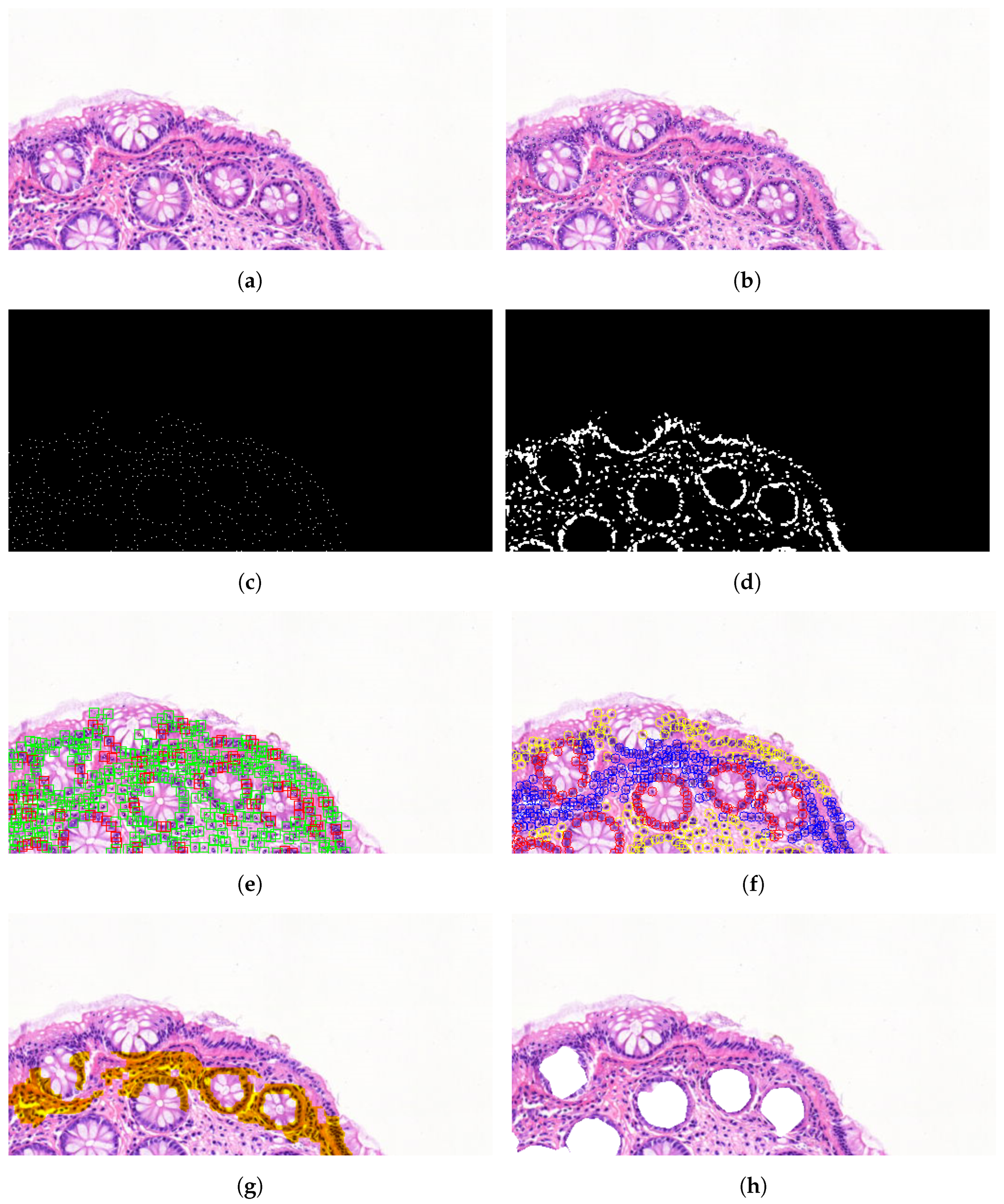 Sensors 25 04465 g004