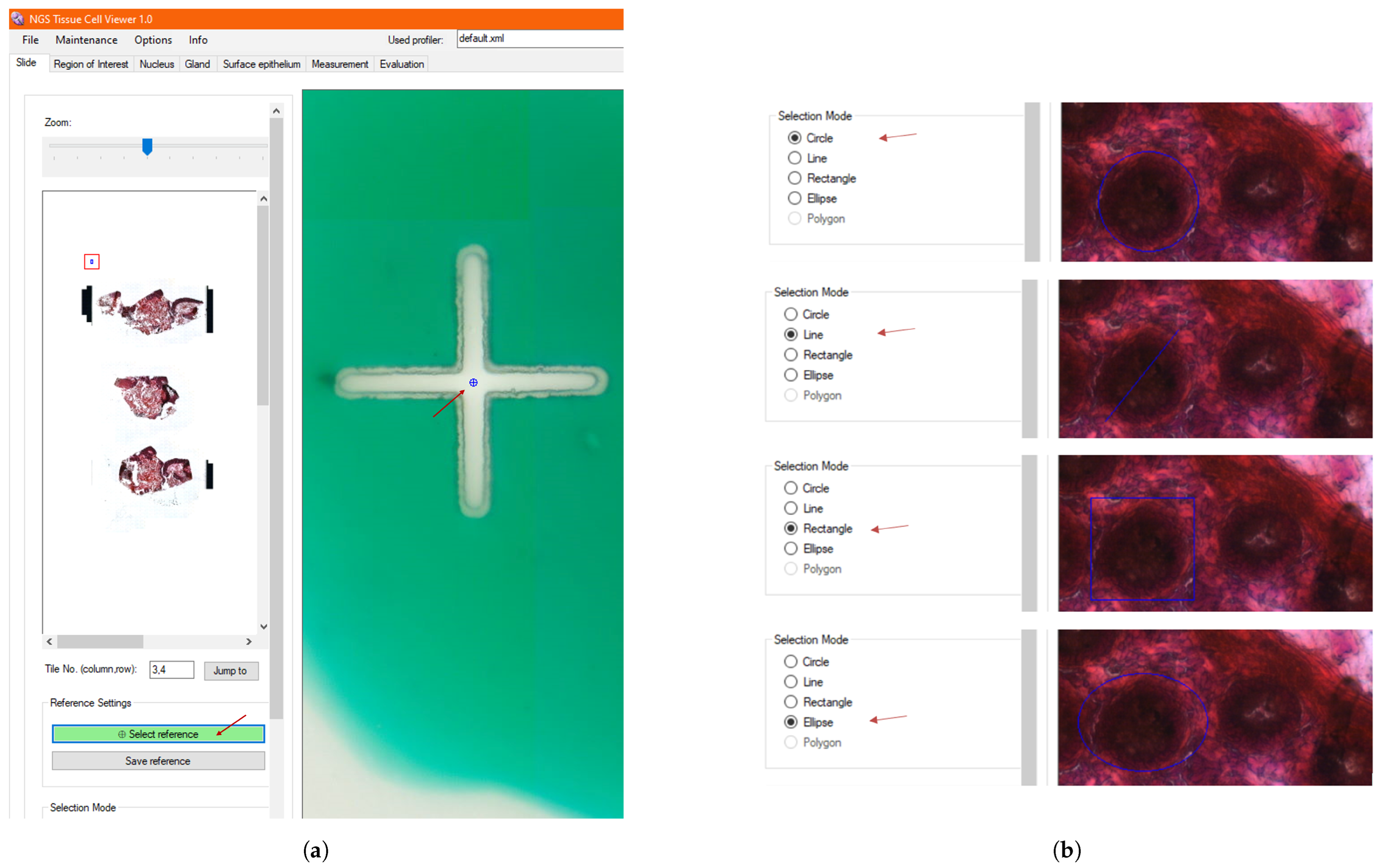 Sensors 25 04465 g005