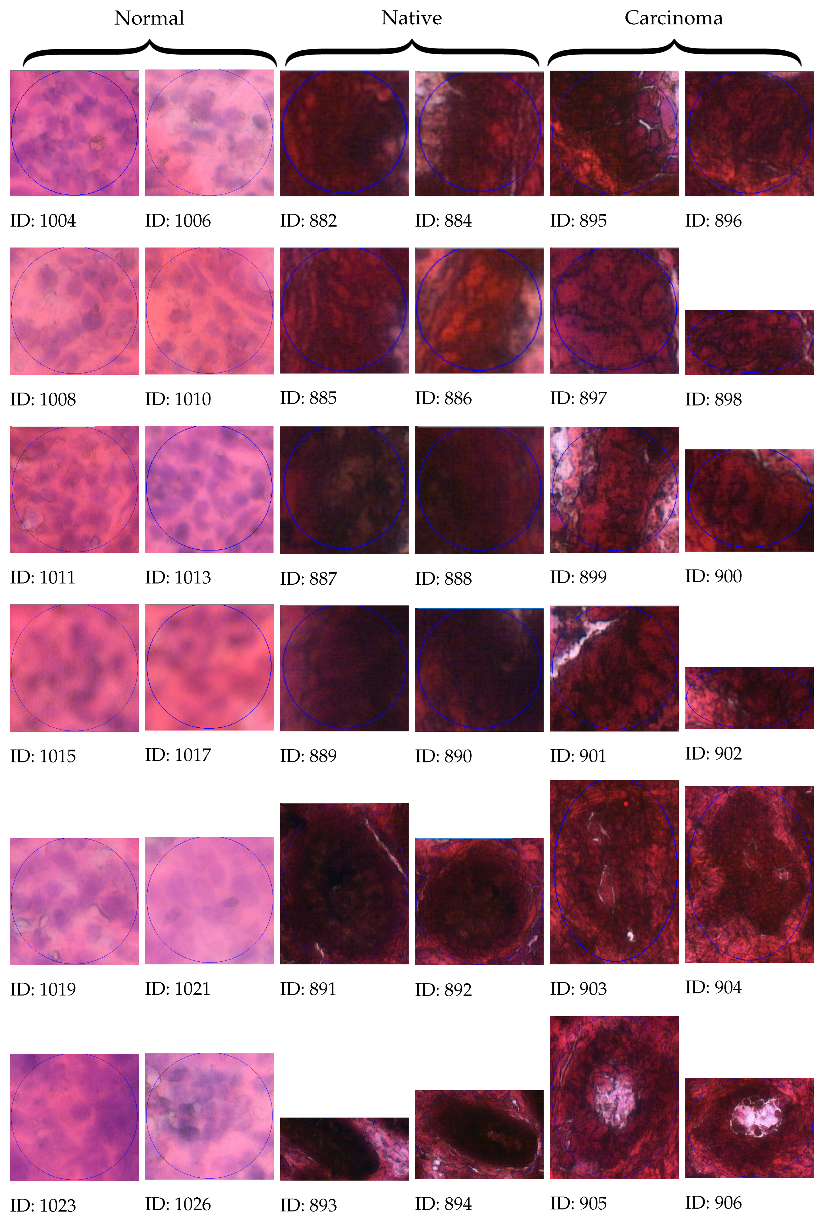 Sensors 25 04465 g006