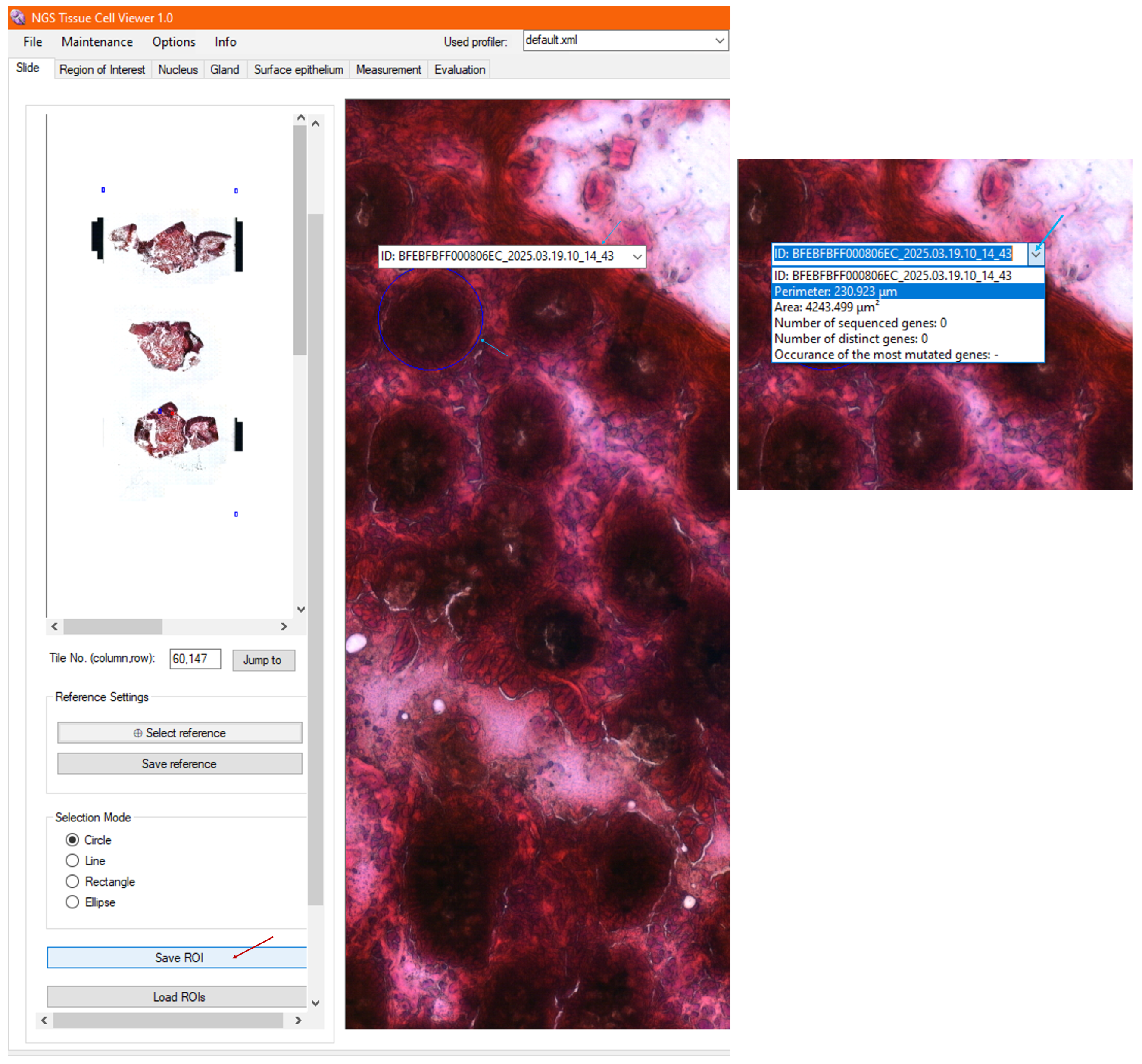 Sensors 25 04465 g007