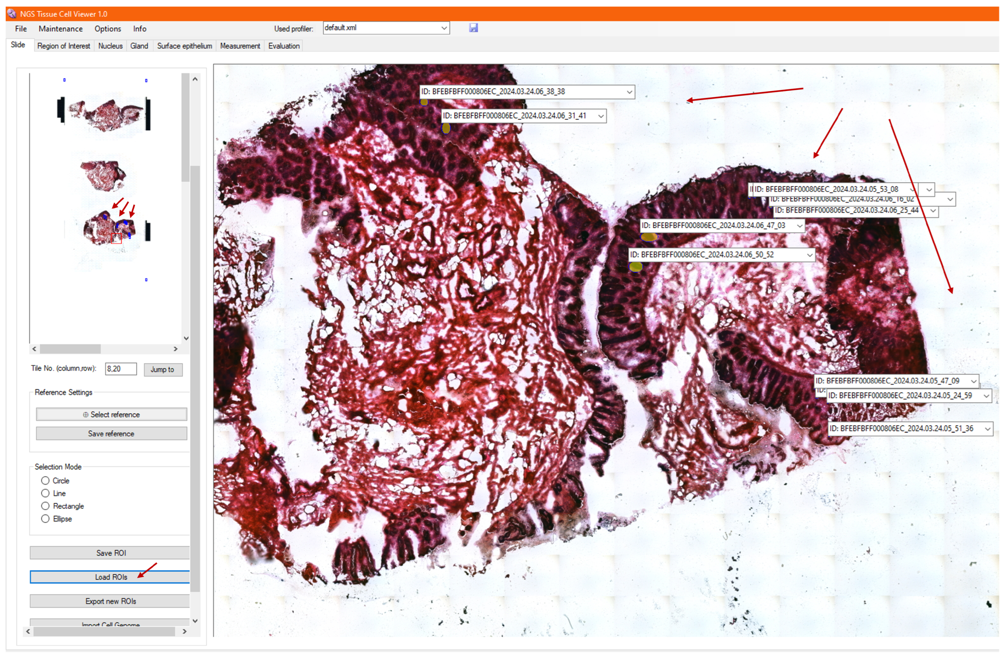 Sensors 25 04465 g008