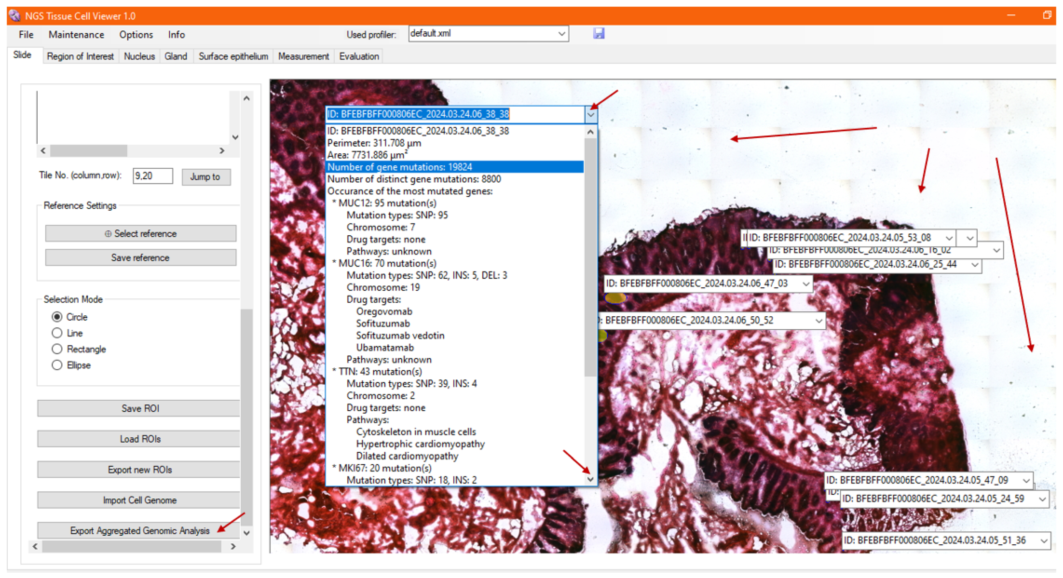 Sensors 25 04465 g009