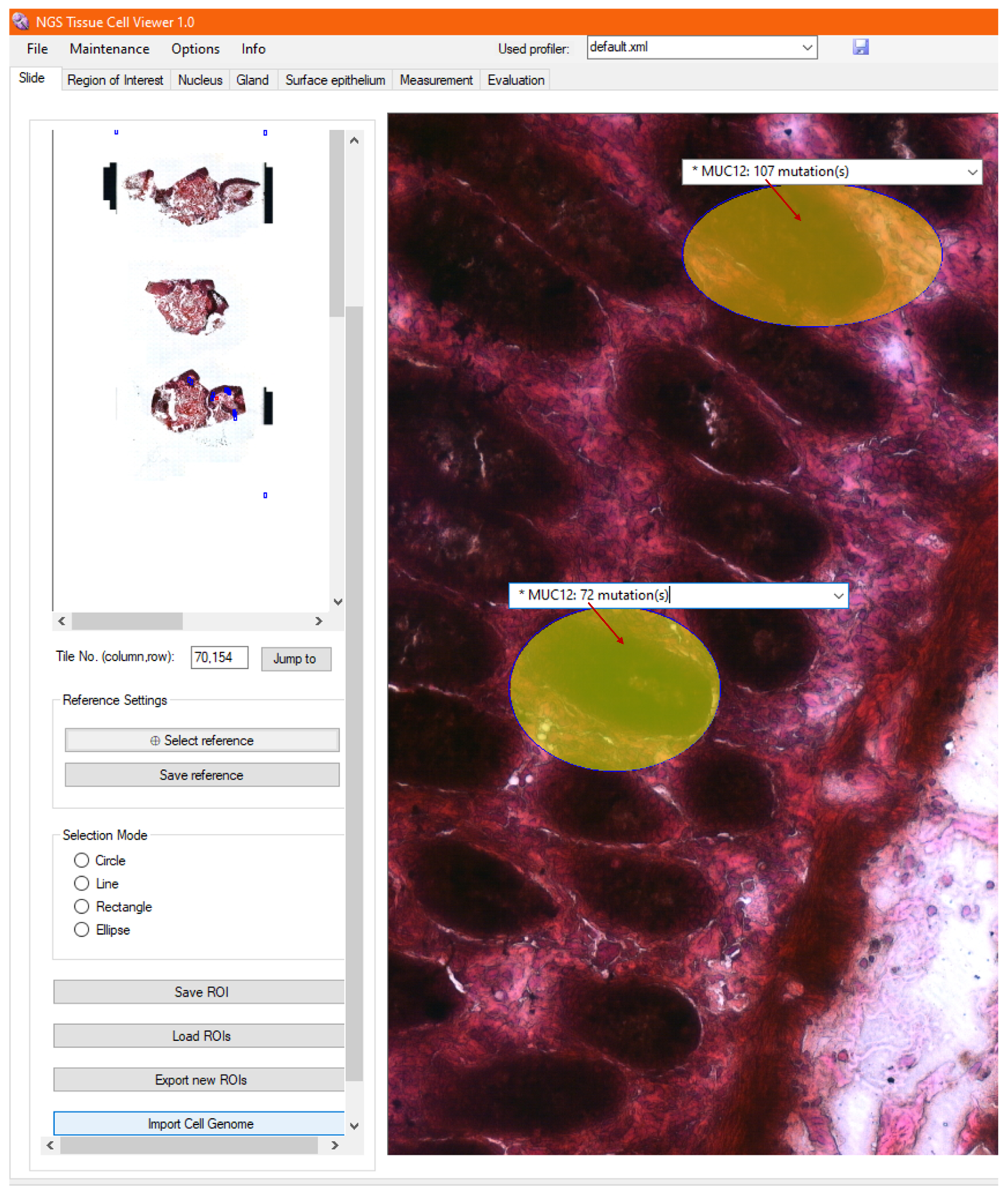 Sensors 25 04465 g010