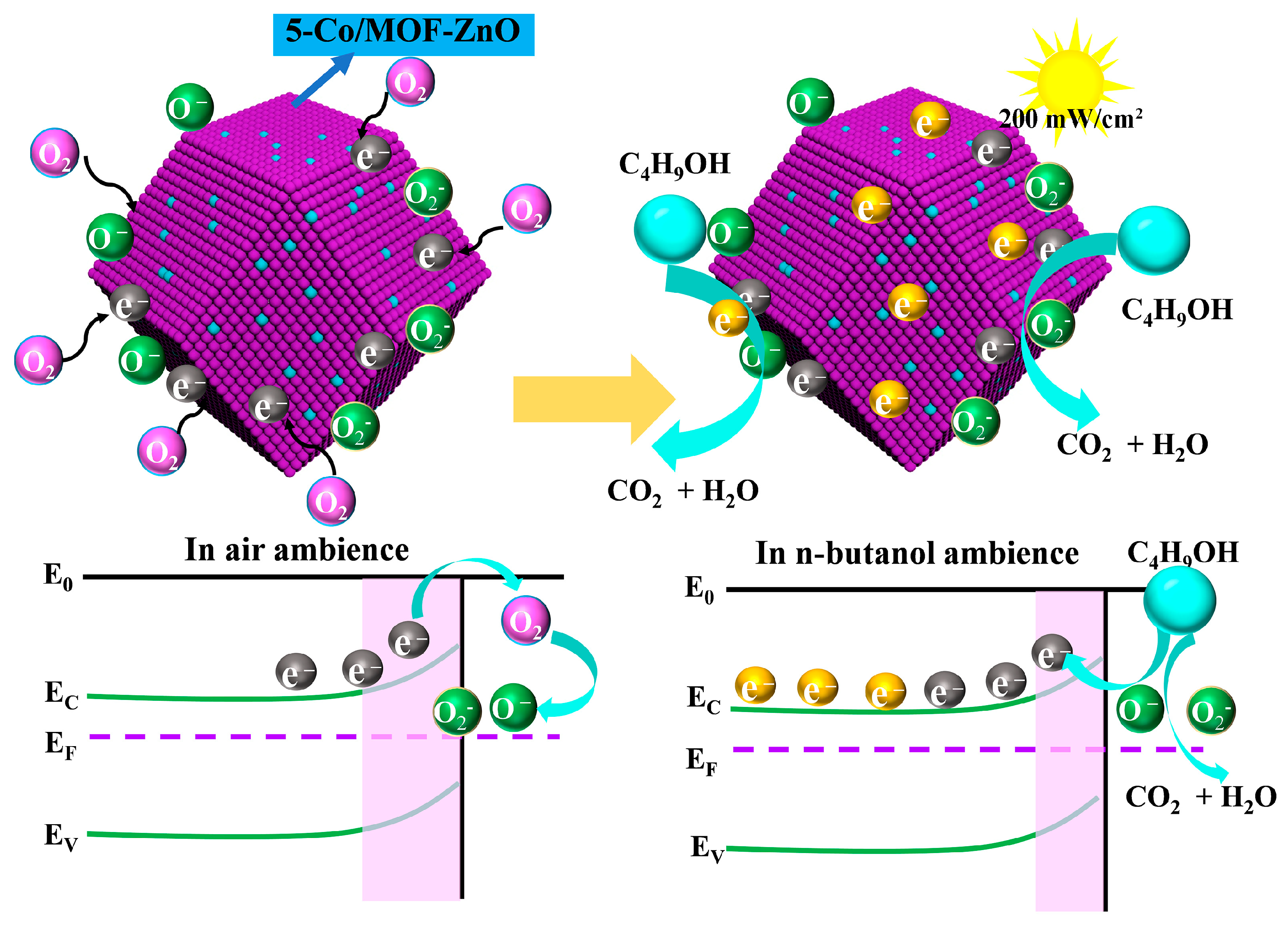 Sensors 25 04480 g013