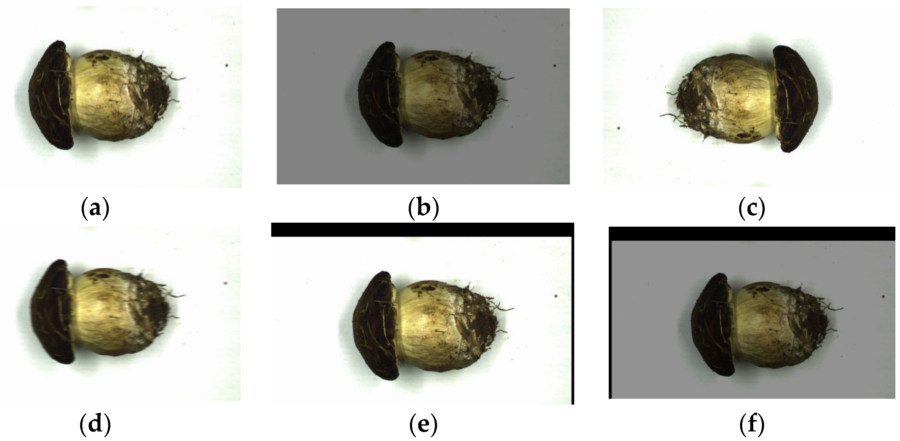 Sensors 25 04482 g003